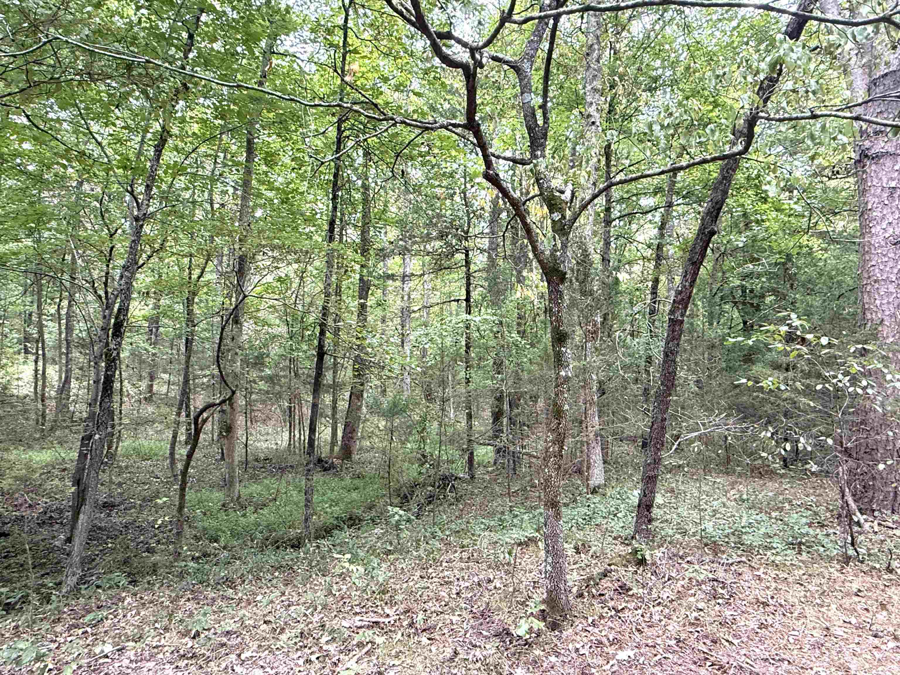 1456 Old Larkin Road  Melbourne, AR