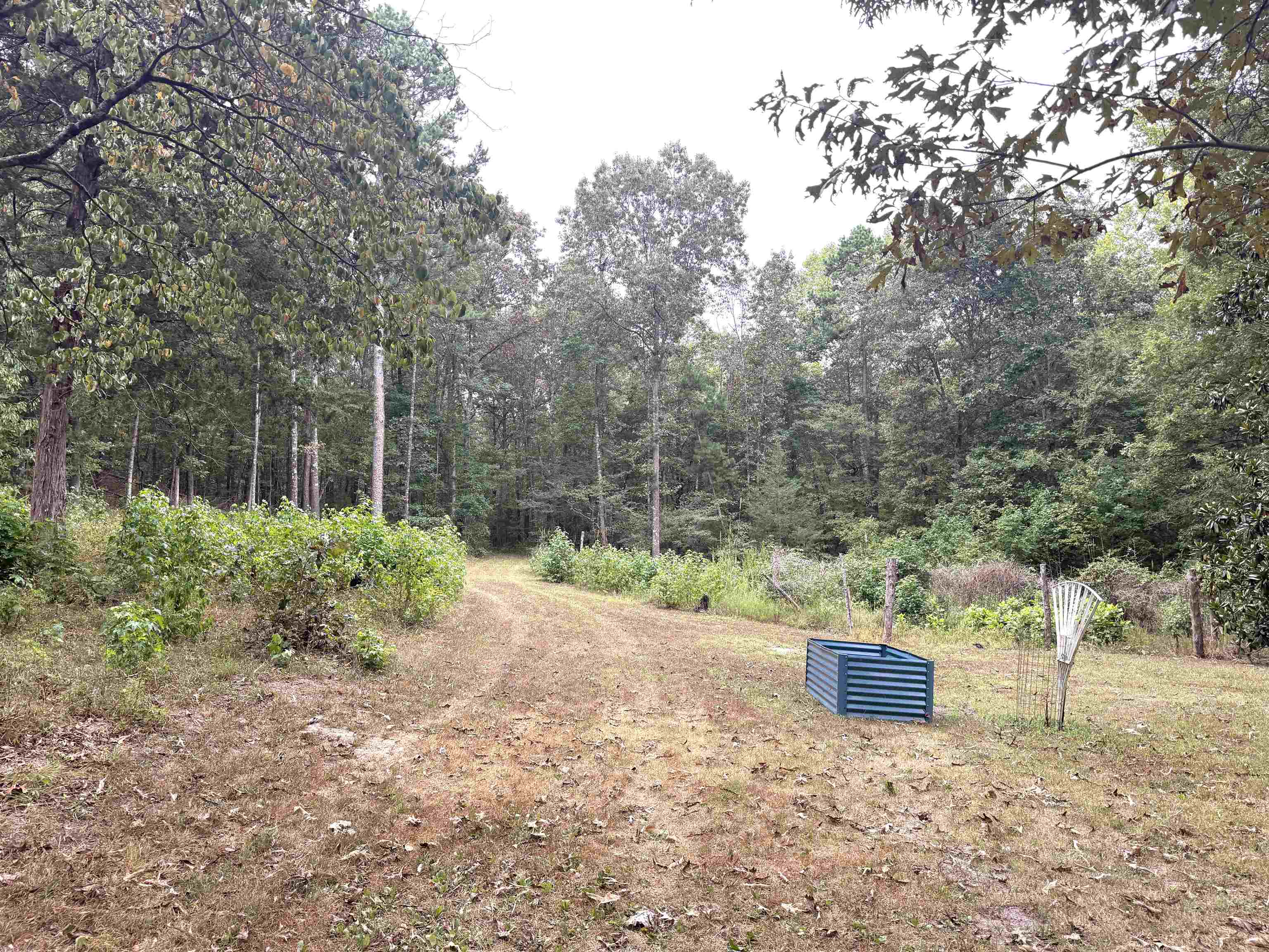 1456 Old Larkin Road  Melbourne, AR