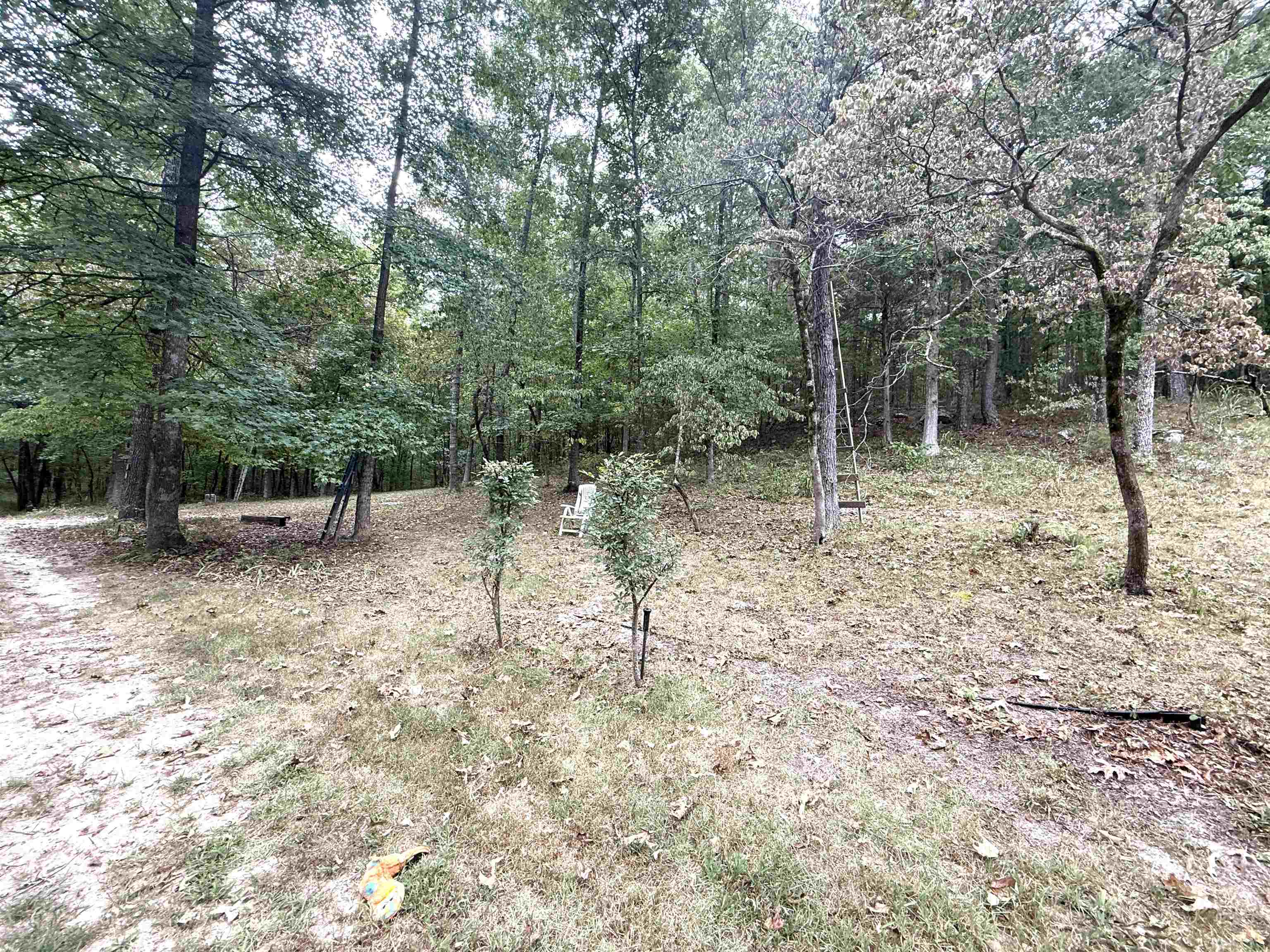 1456 Old Larkin Road  Melbourne, AR