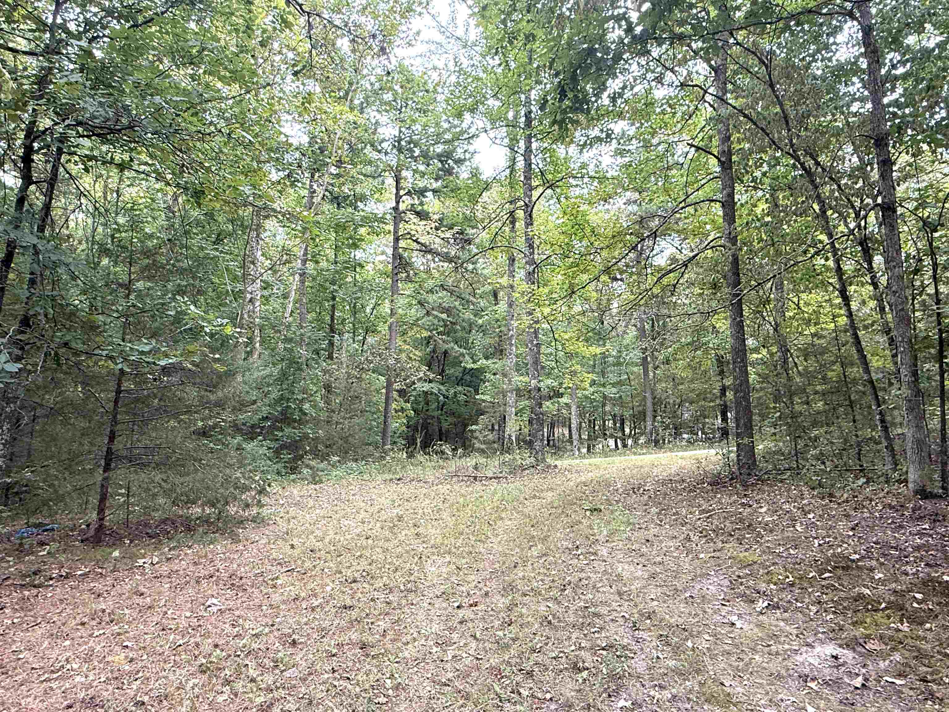 1456 Old Larkin Road  Melbourne, AR