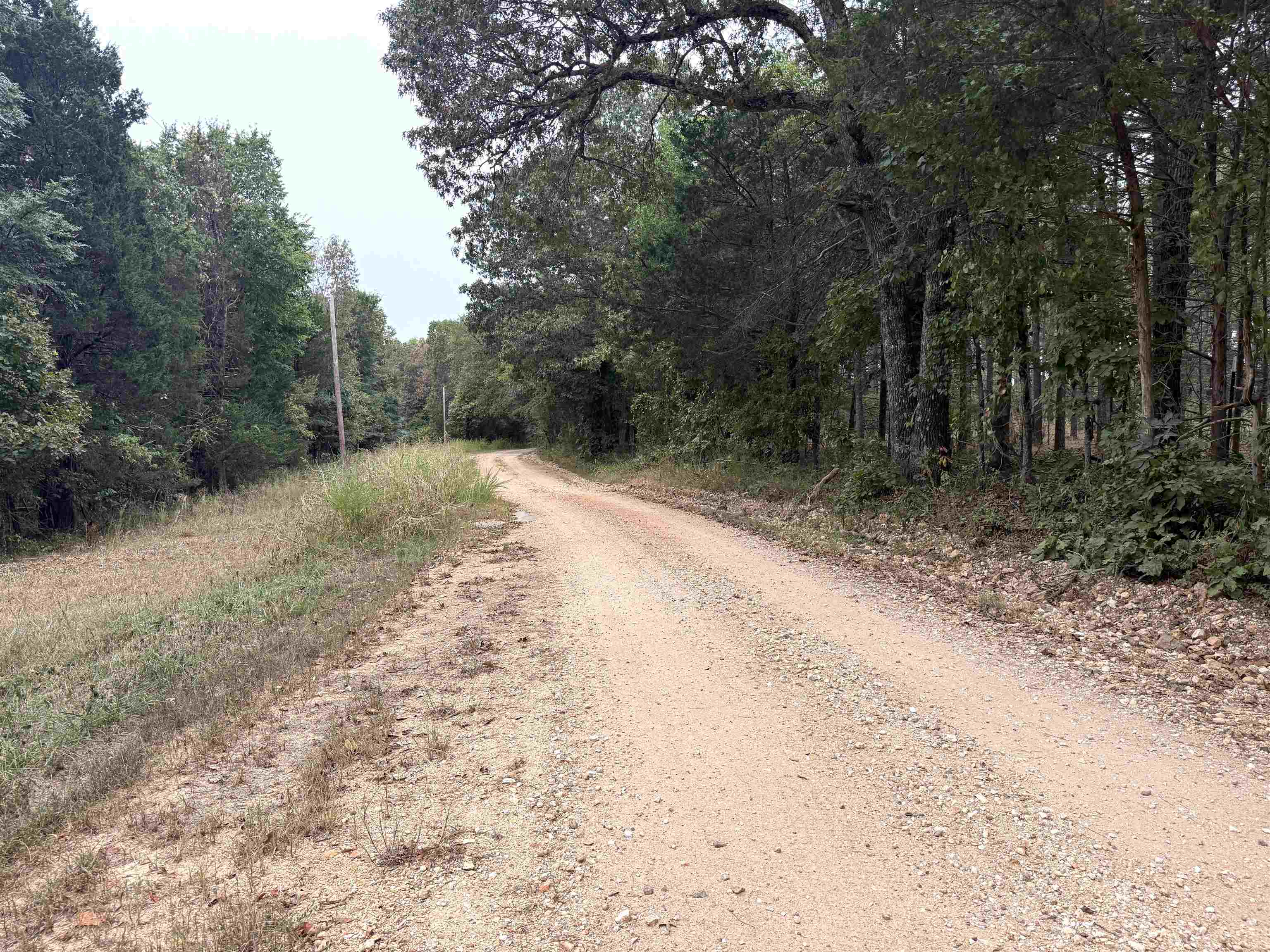 1456 Old Larkin Road  Melbourne, AR