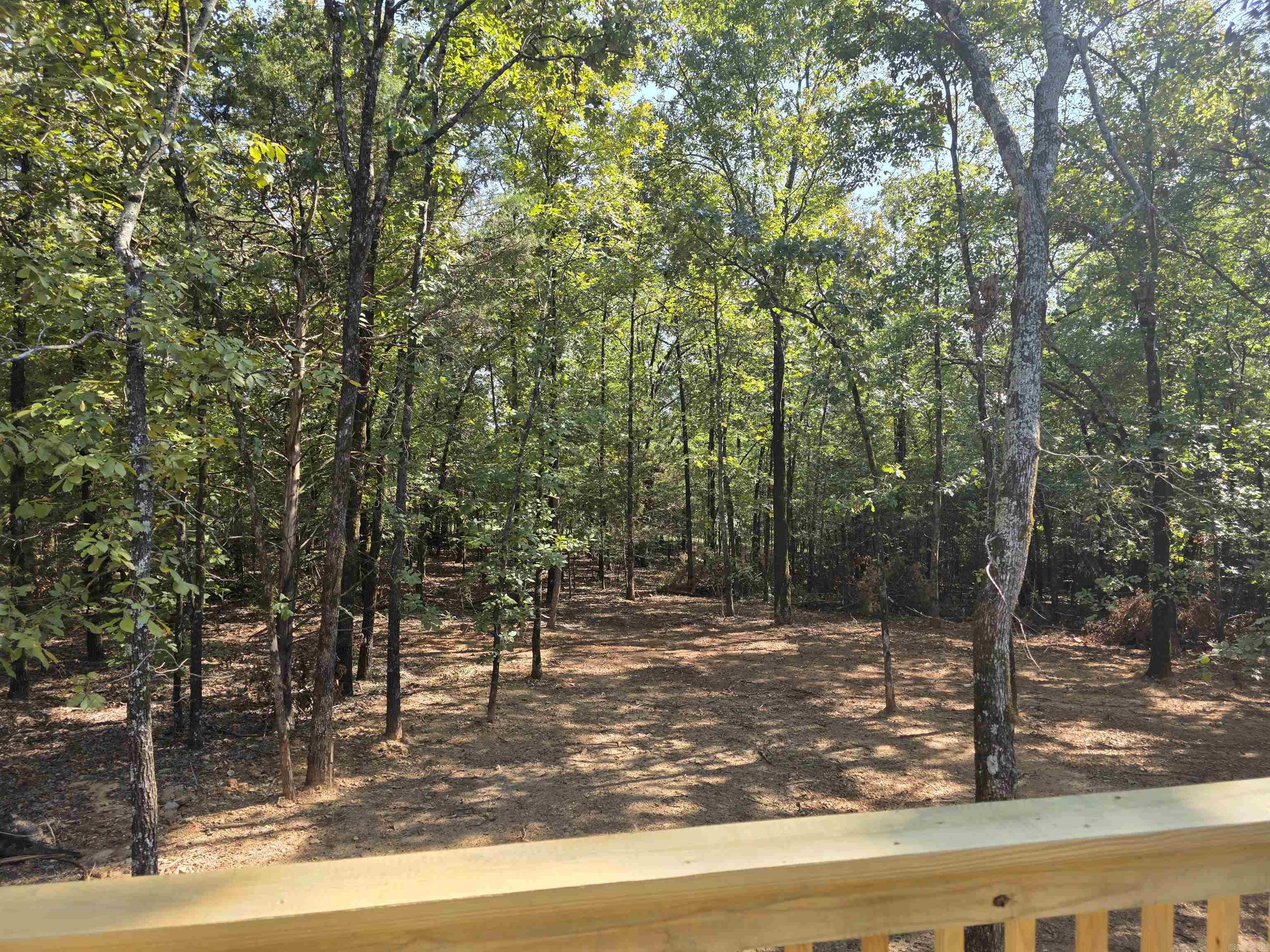 43 Sky Eagle  Greenbrier, AR