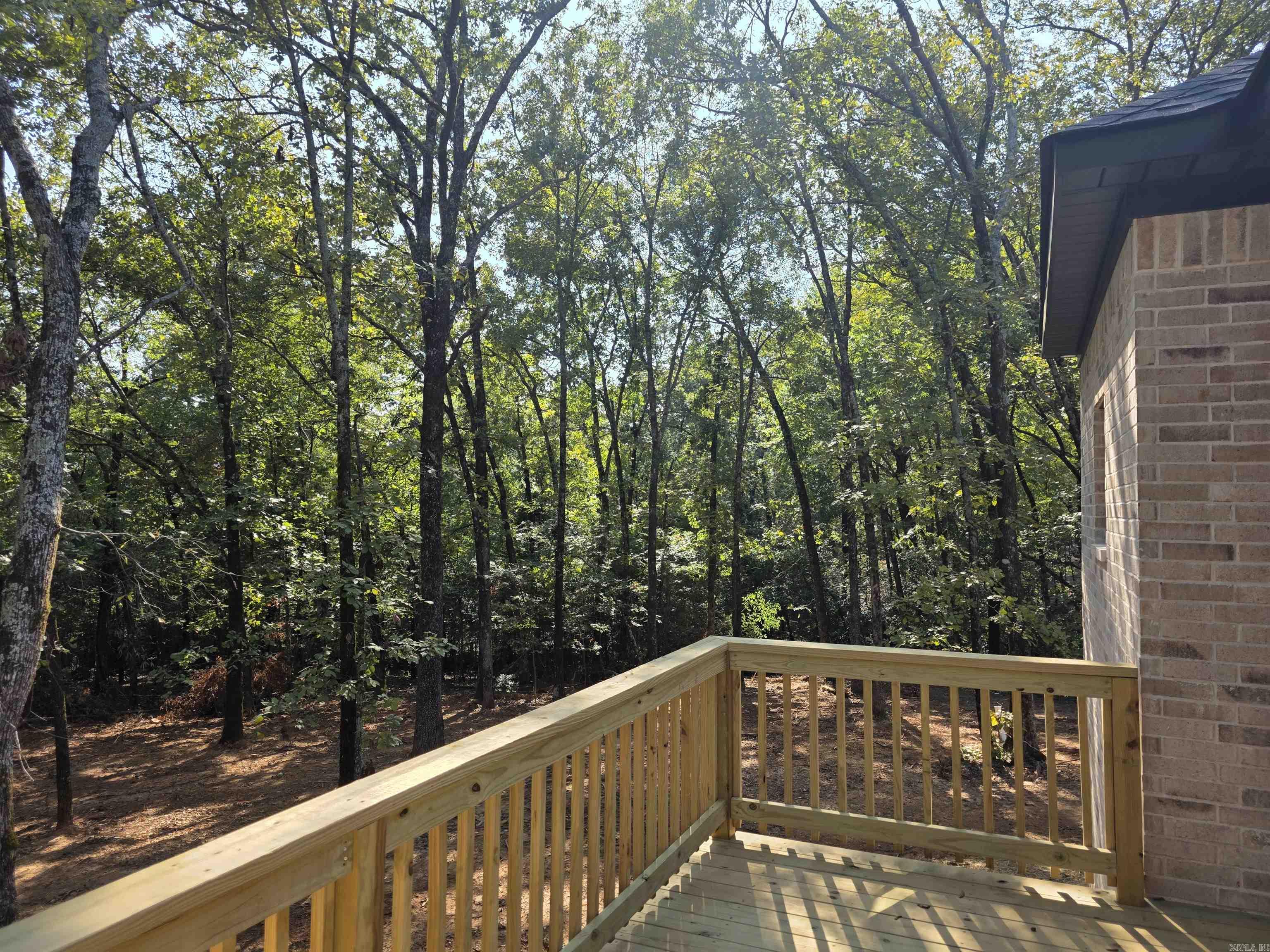 43 Sky Eagle  Greenbrier, AR