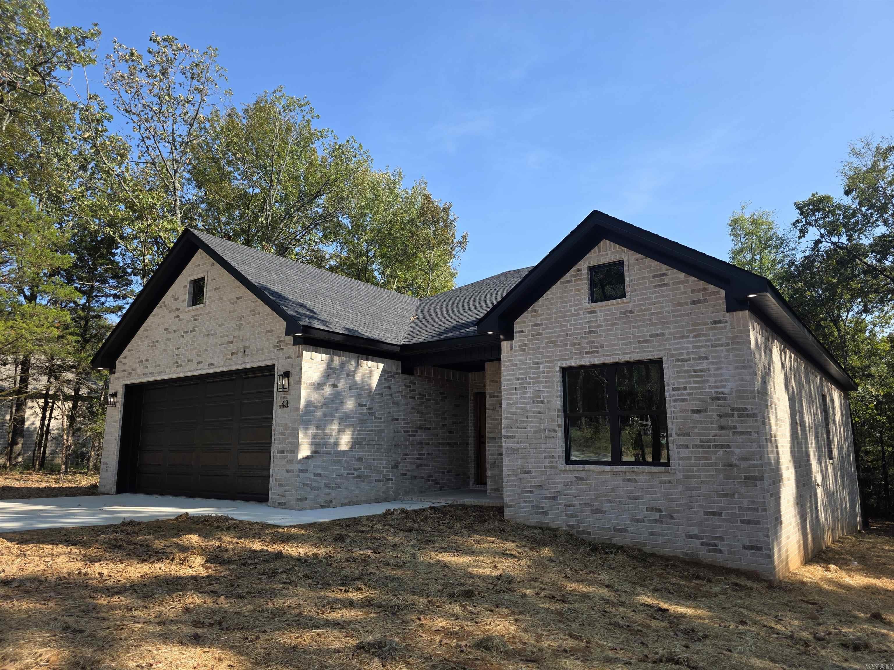 43 Sky Eagle  Greenbrier, AR