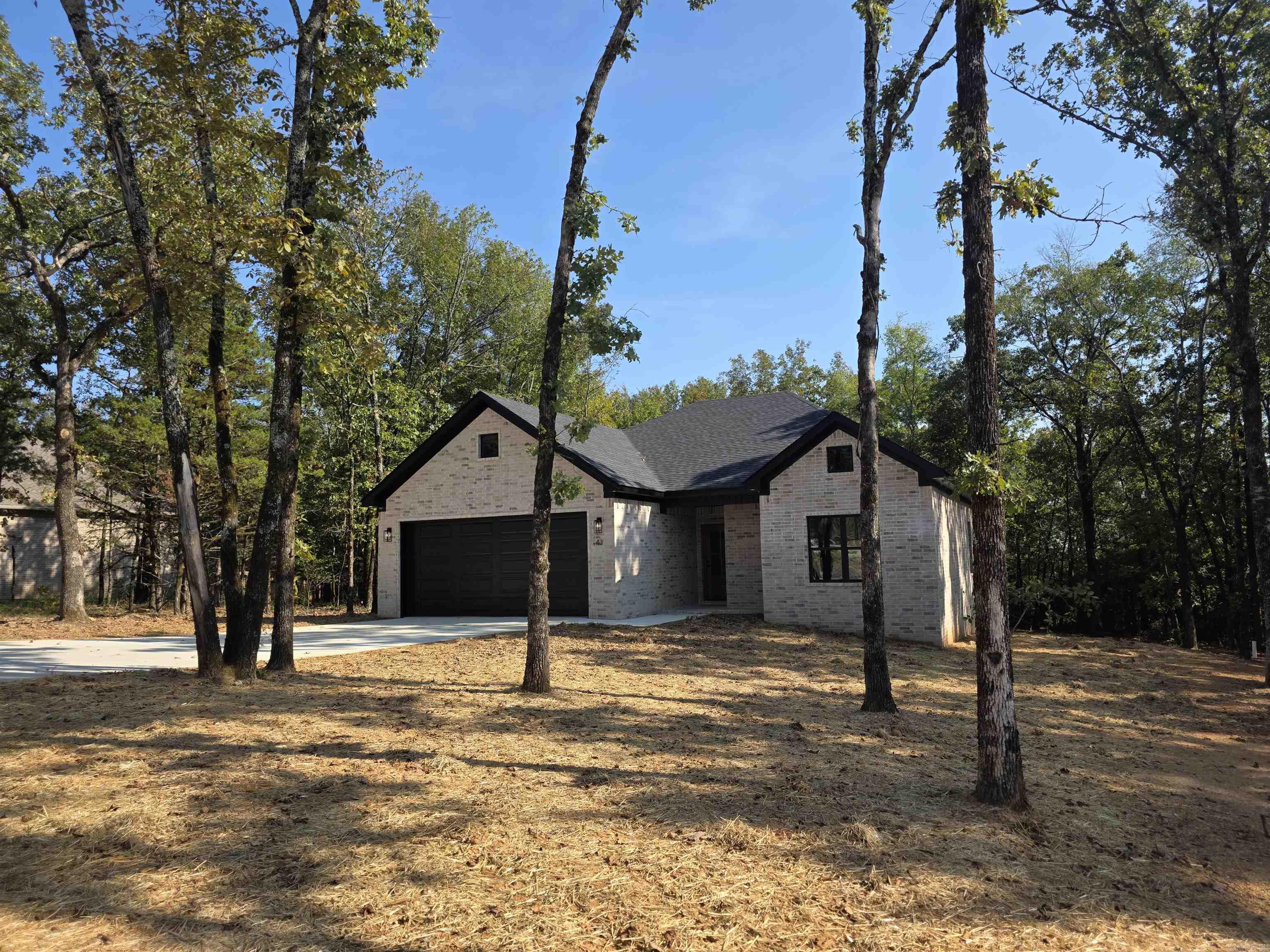 43 Sky Eagle  Greenbrier, AR