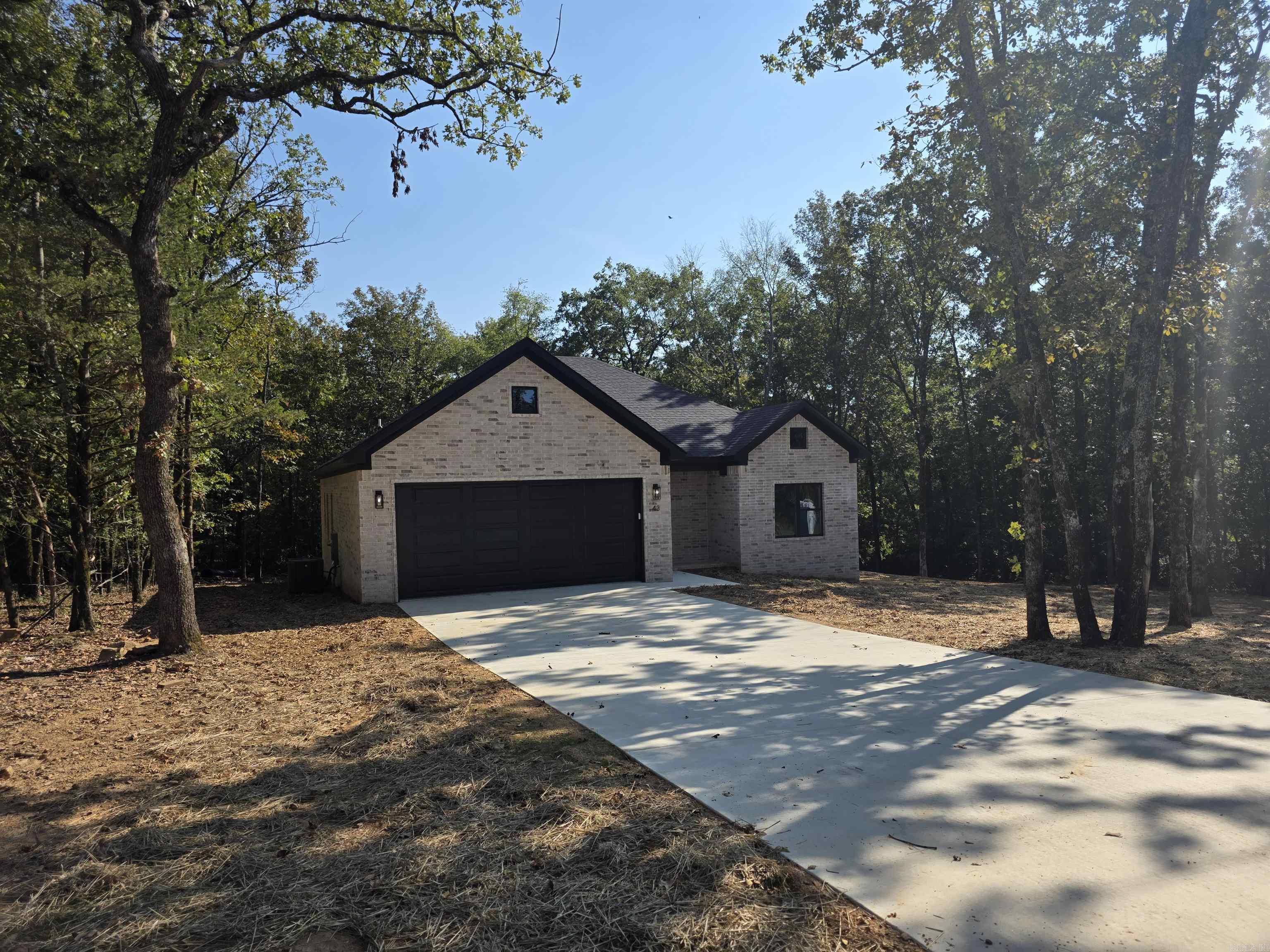 43 Sky Eagle  Greenbrier, AR