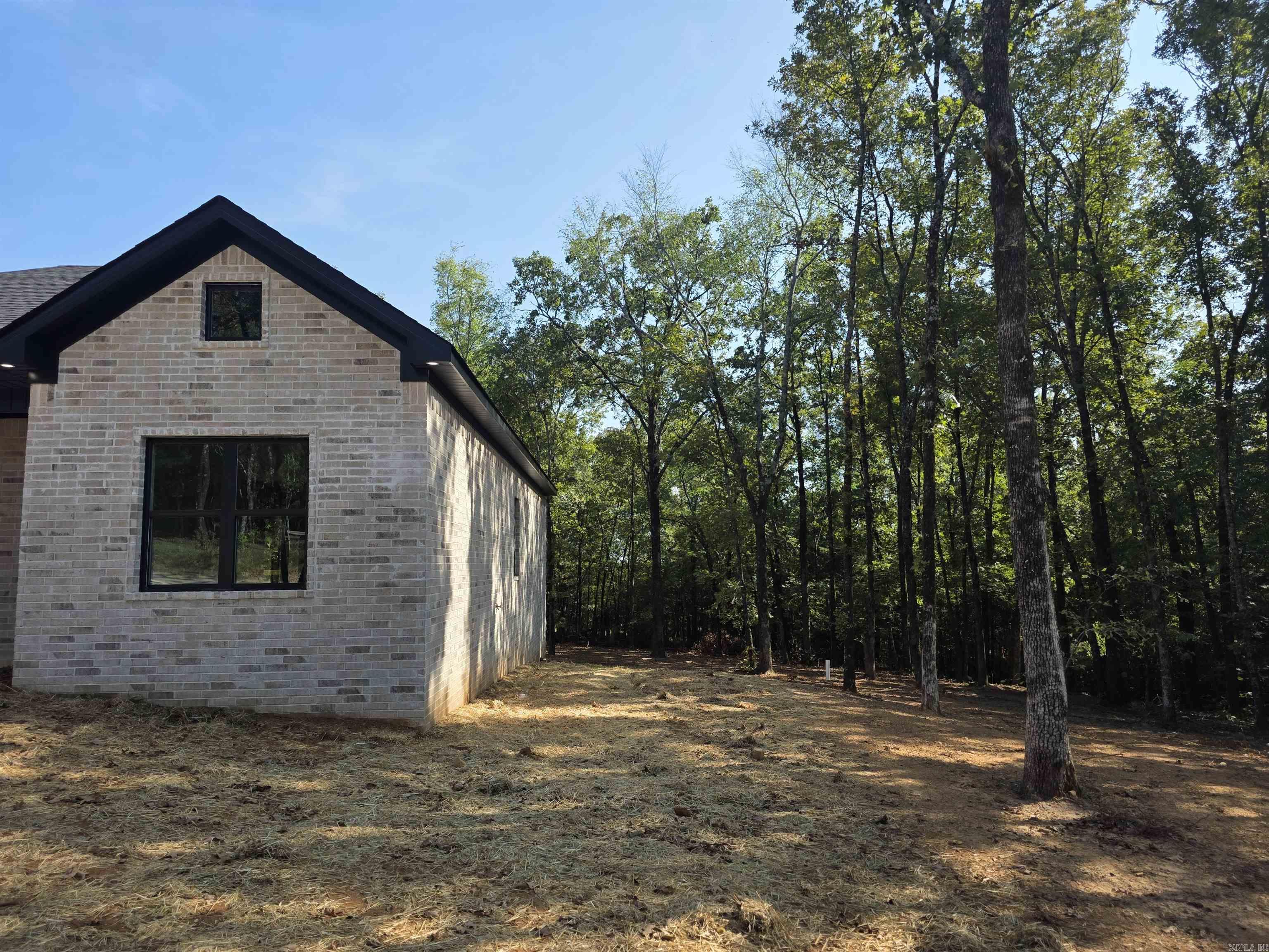 43 Sky Eagle  Greenbrier, AR