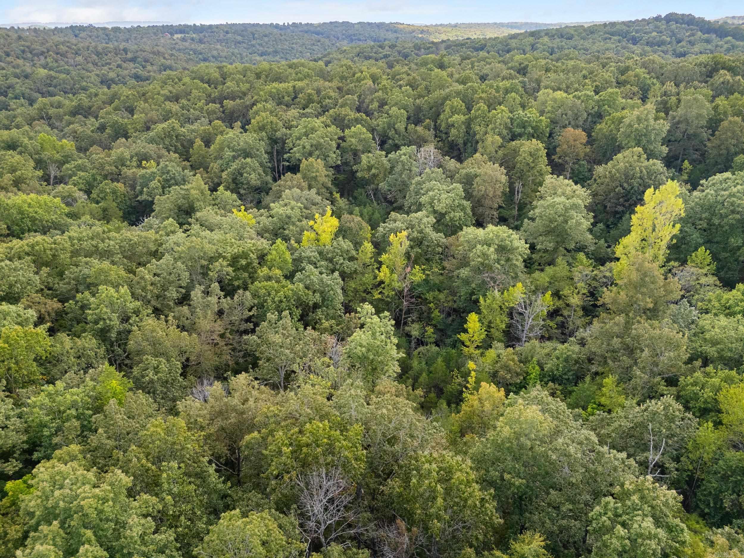 5123 Hwy 62 East  Mountain Home, AR