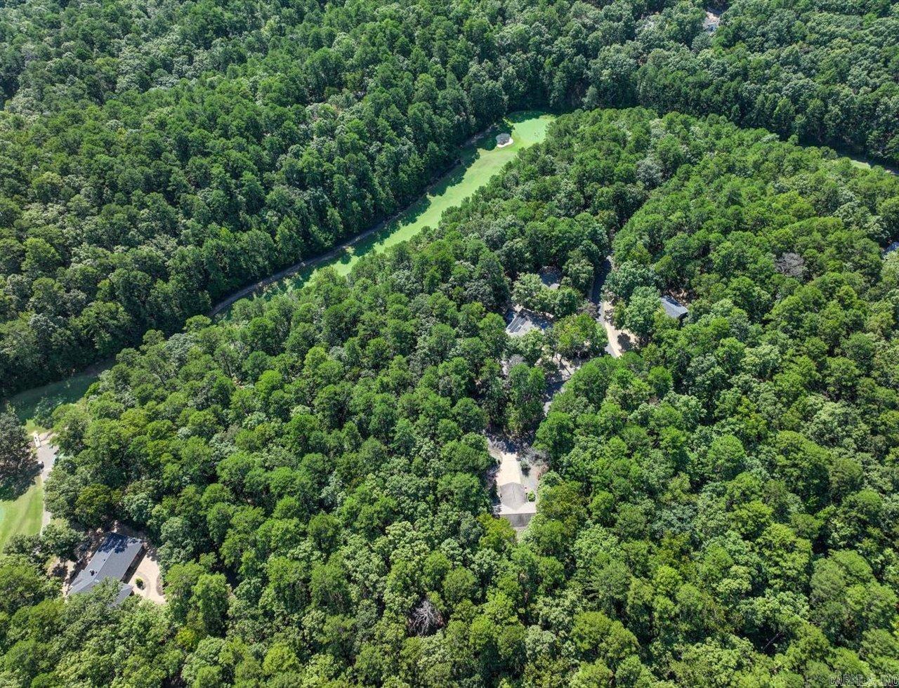 4 Certero Ln  Hot Springs Village, AR