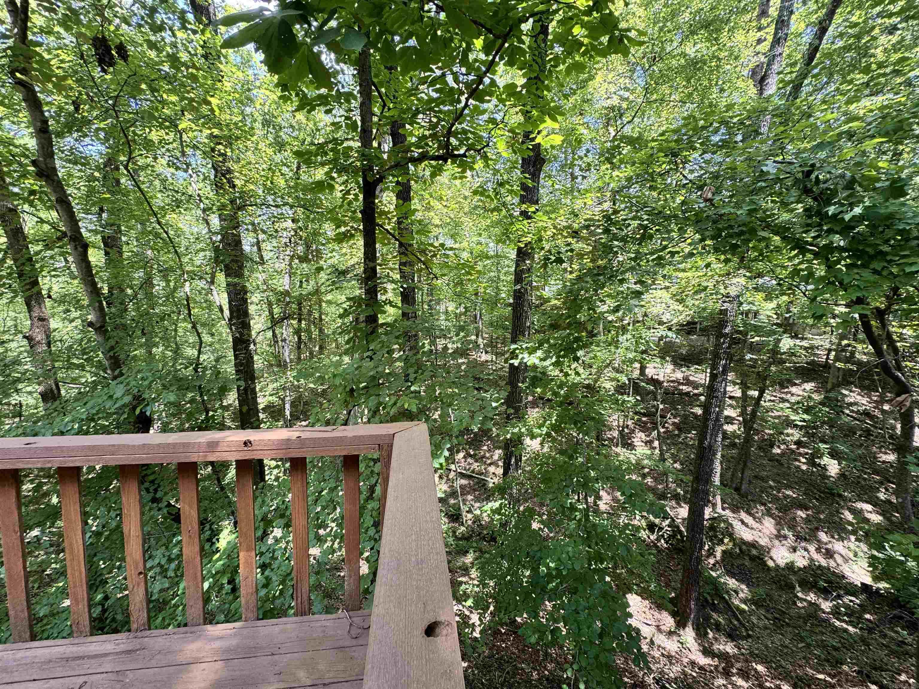 19 Emanuel  Hot Springs Village, AR