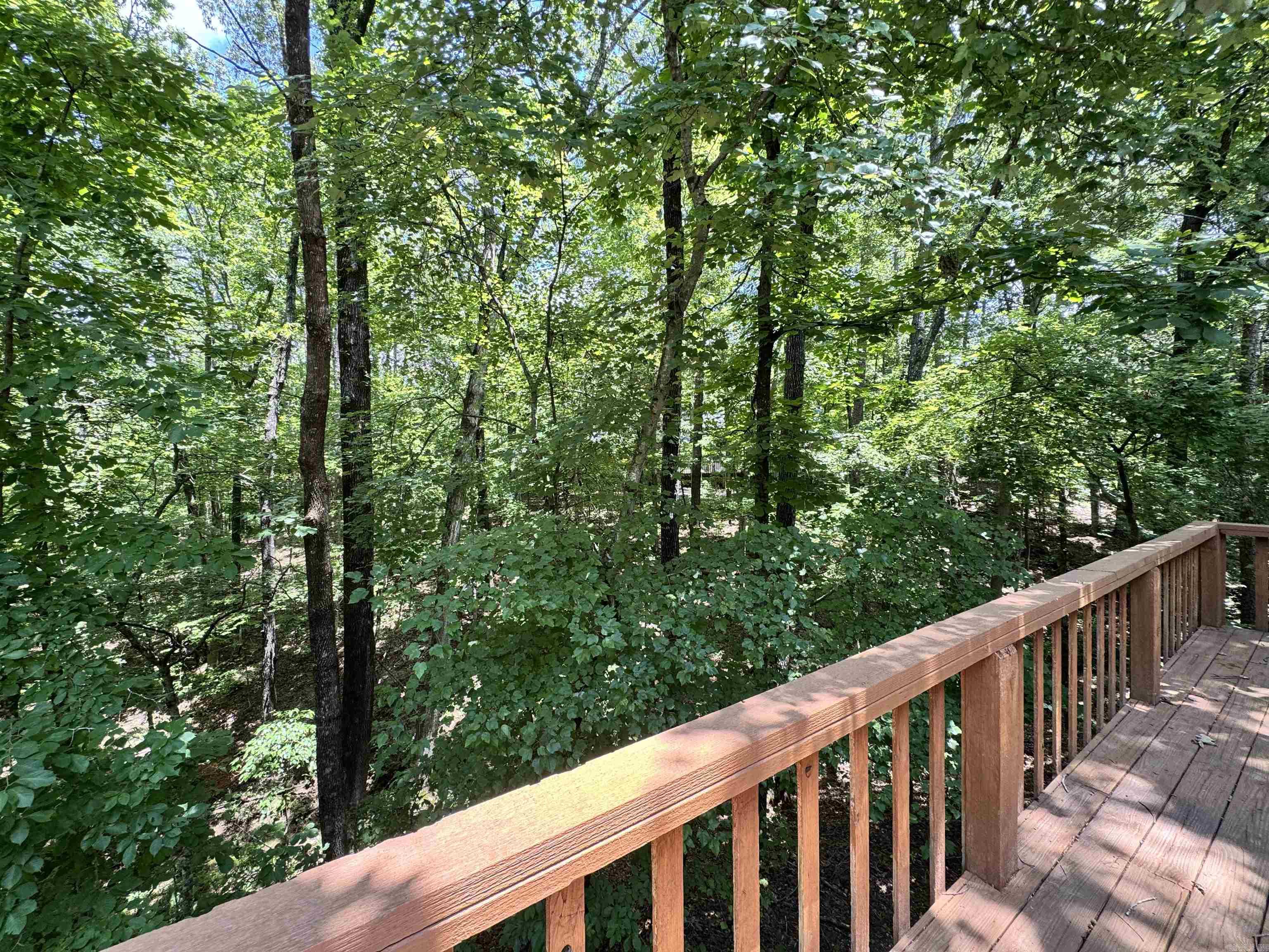 19 Emanuel  Hot Springs Village, AR
