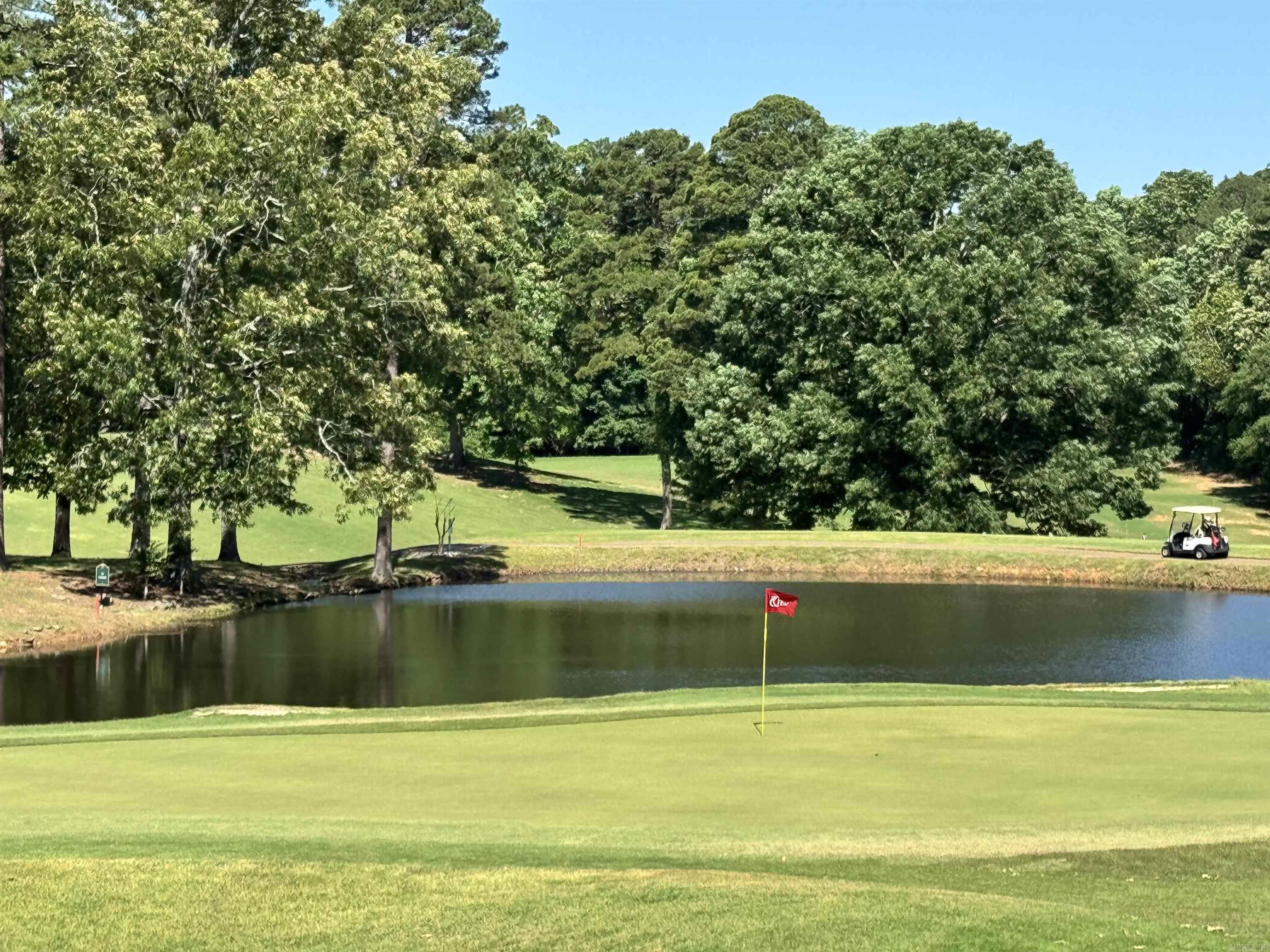 19 Emanuel  Hot Springs Village, AR