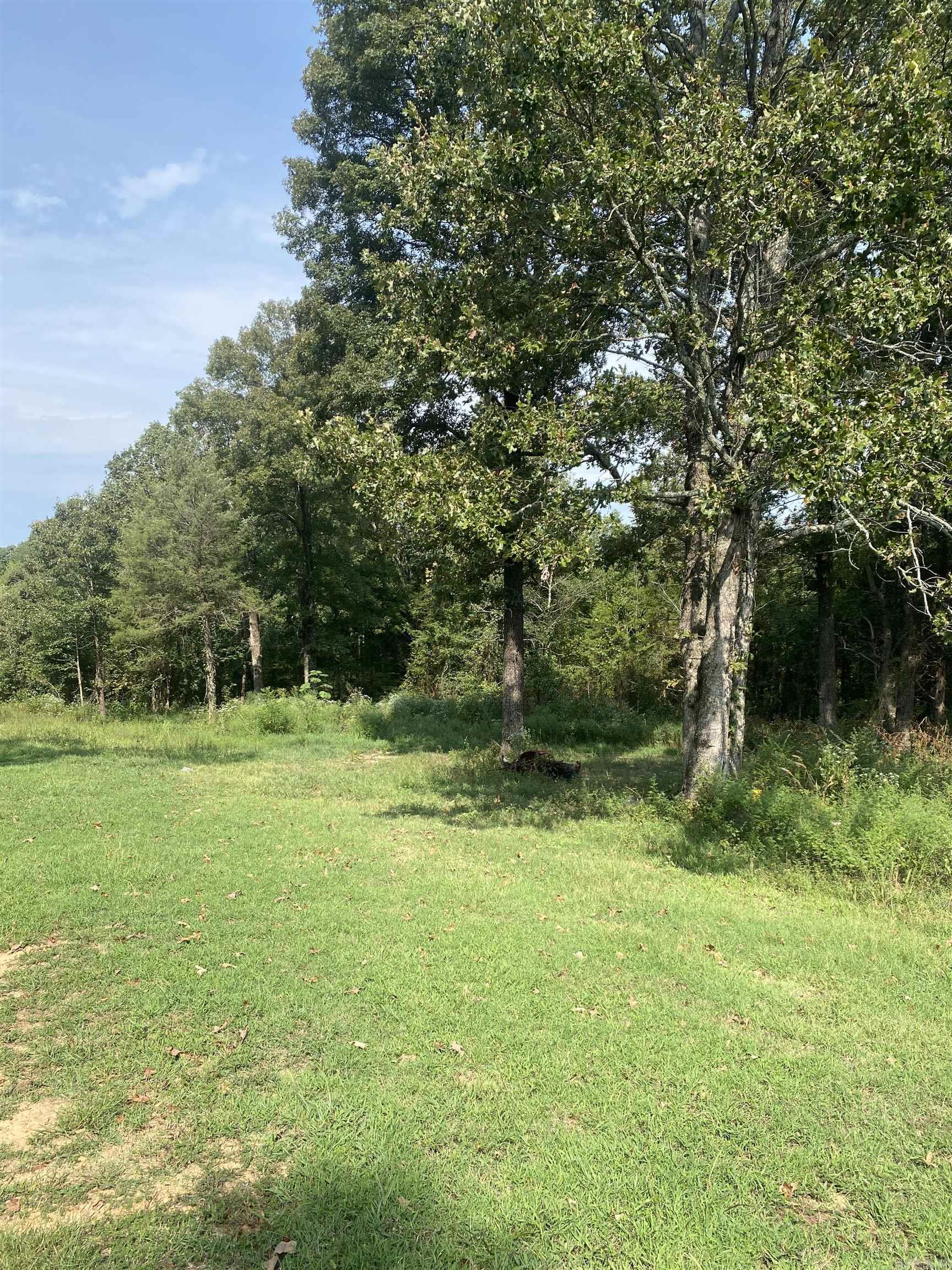 340 Nix Road  Mt. Vernon, AR