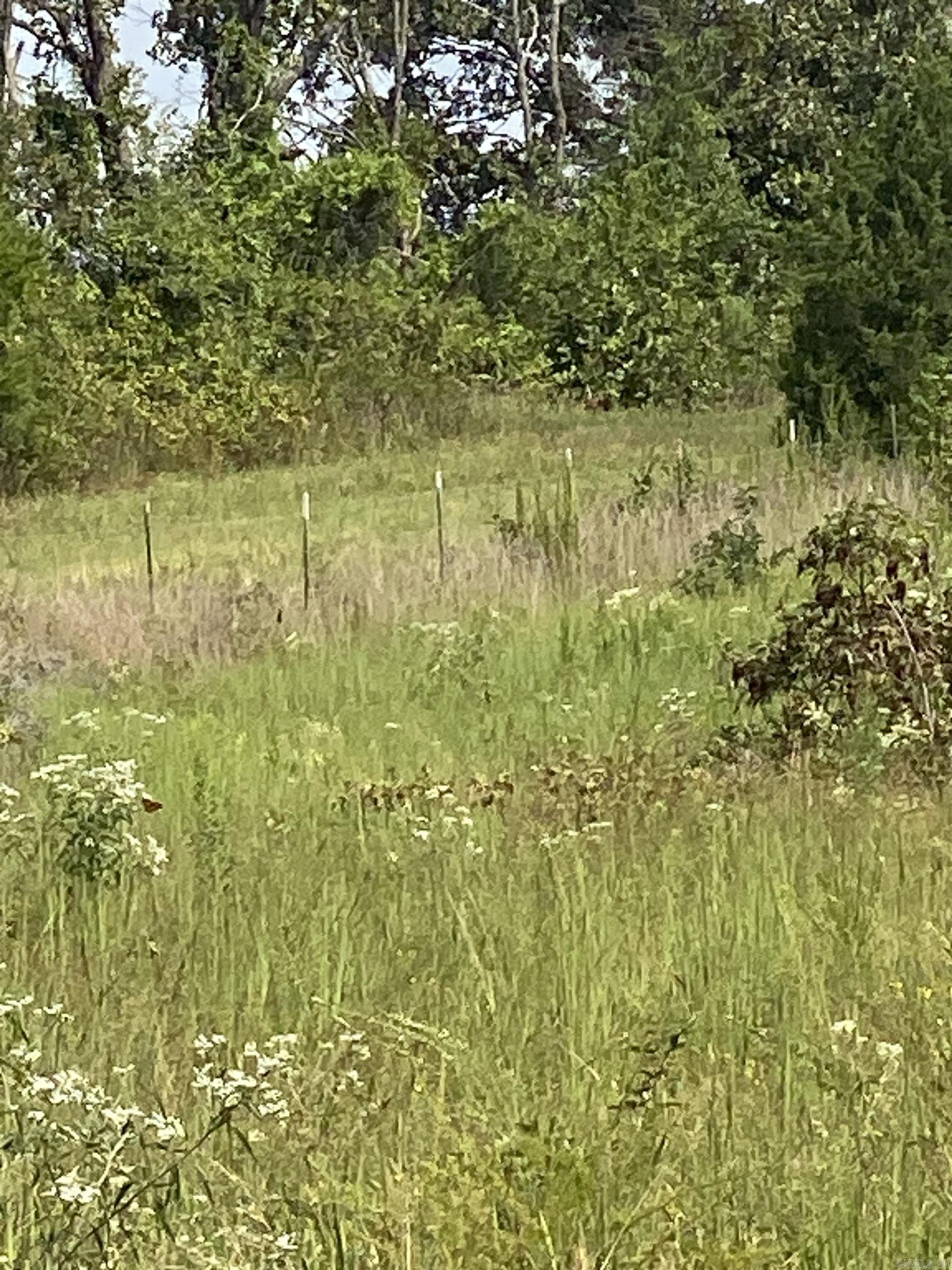 340 Nix Road  Mt. Vernon, AR