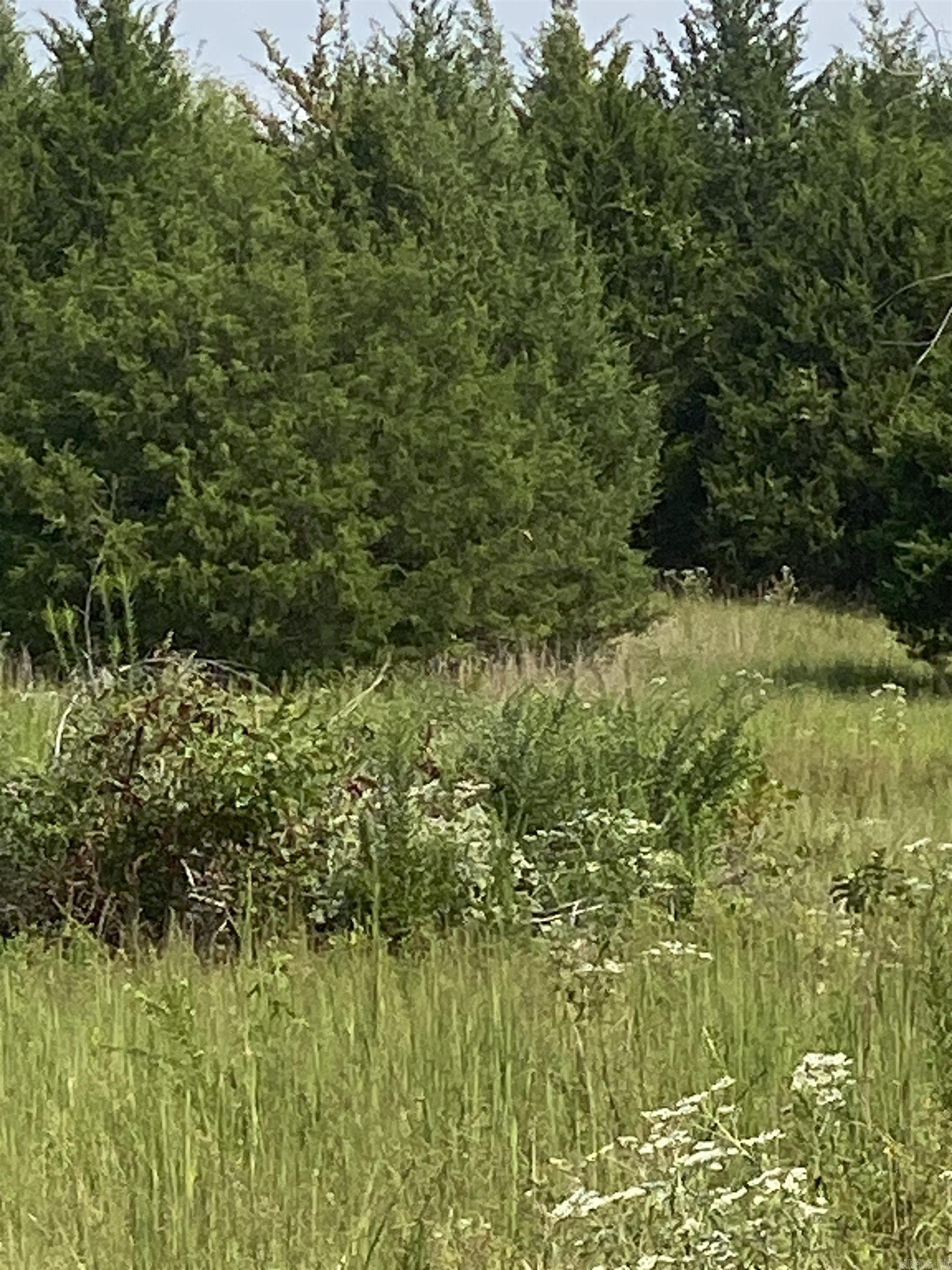 340 Nix Road  Mt. Vernon, AR