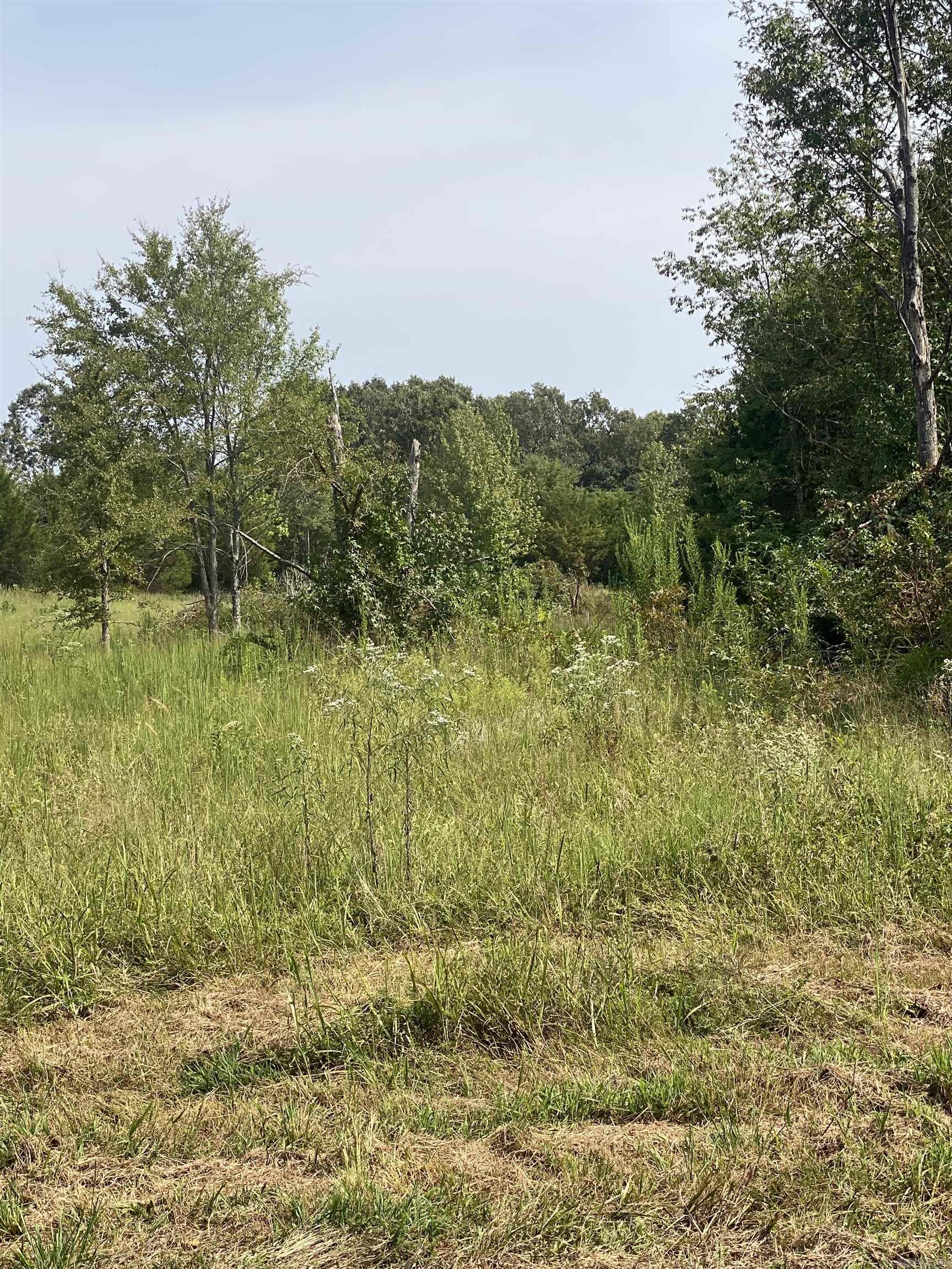340 Nix Road  Mt. Vernon, AR