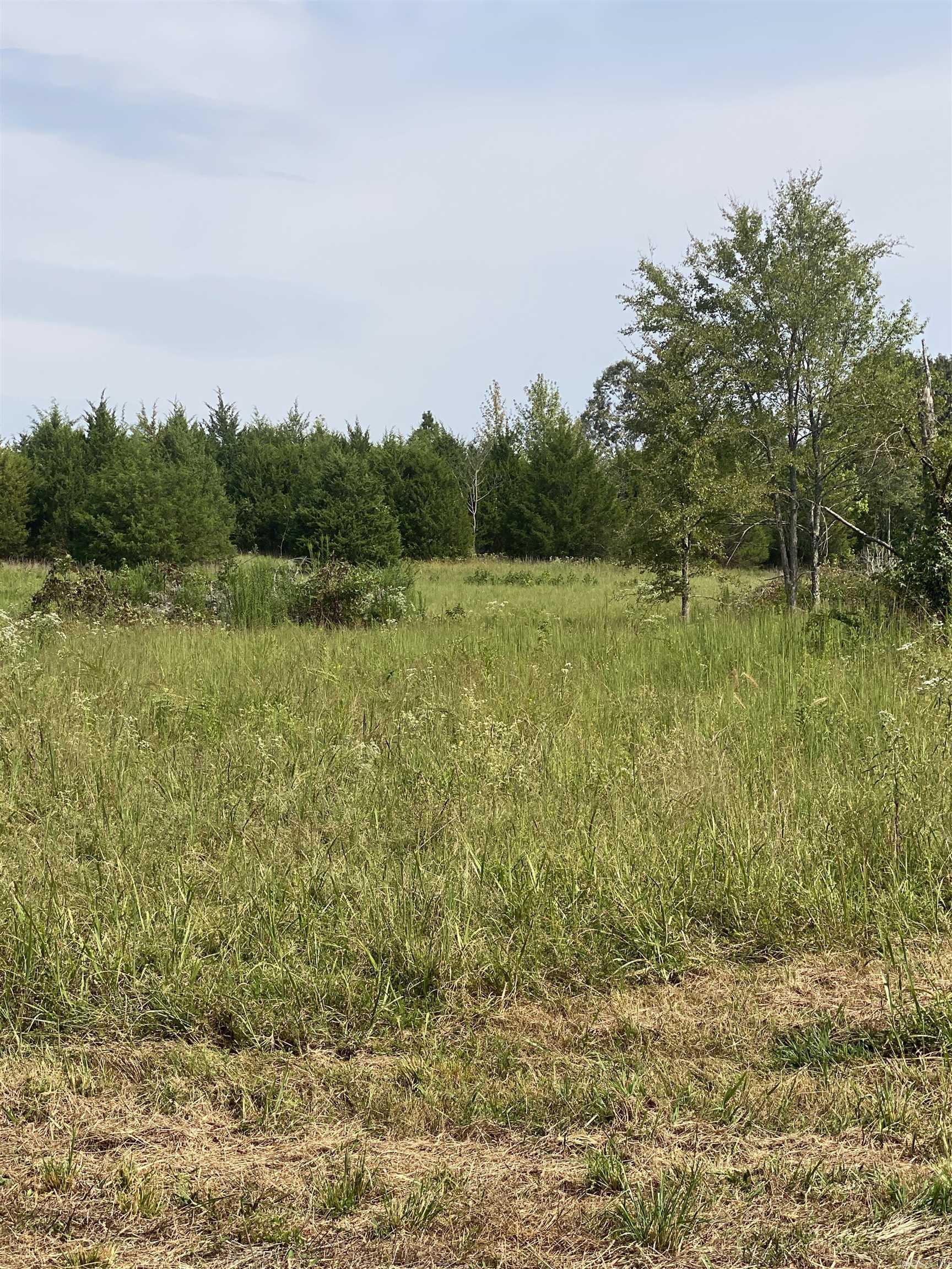 340 Nix Road  Mt. Vernon, AR