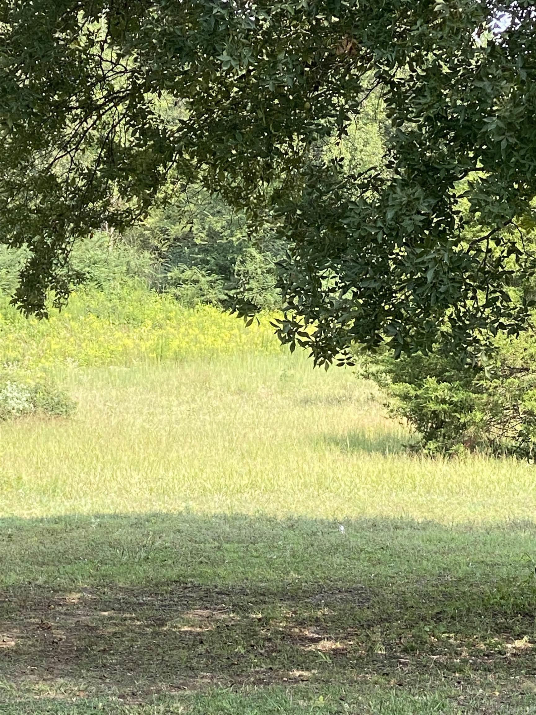 340 Nix Road  Mt. Vernon, AR