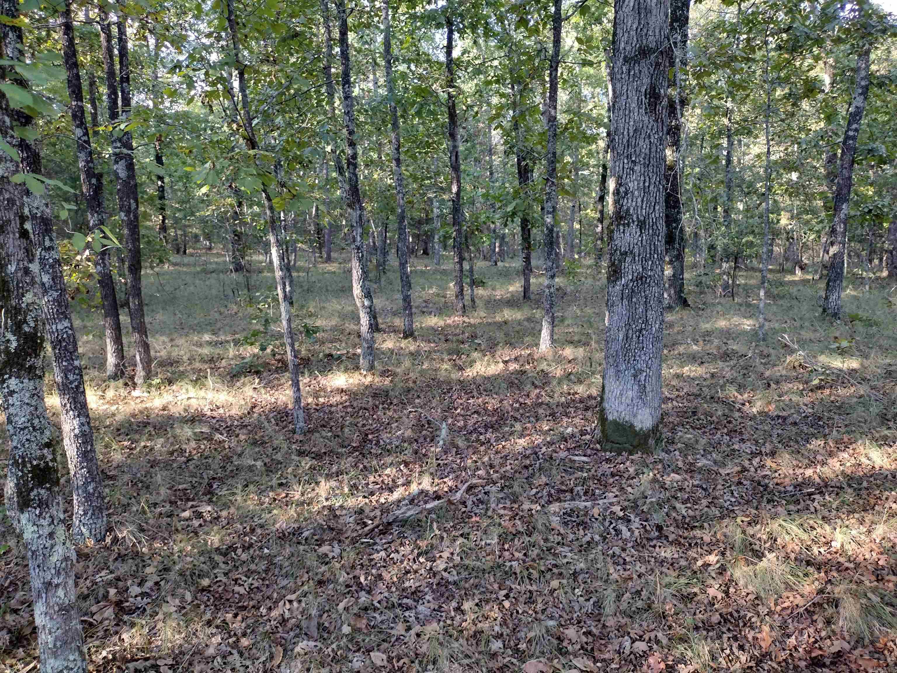 0 Arrowhead RD  Mountain View, AR