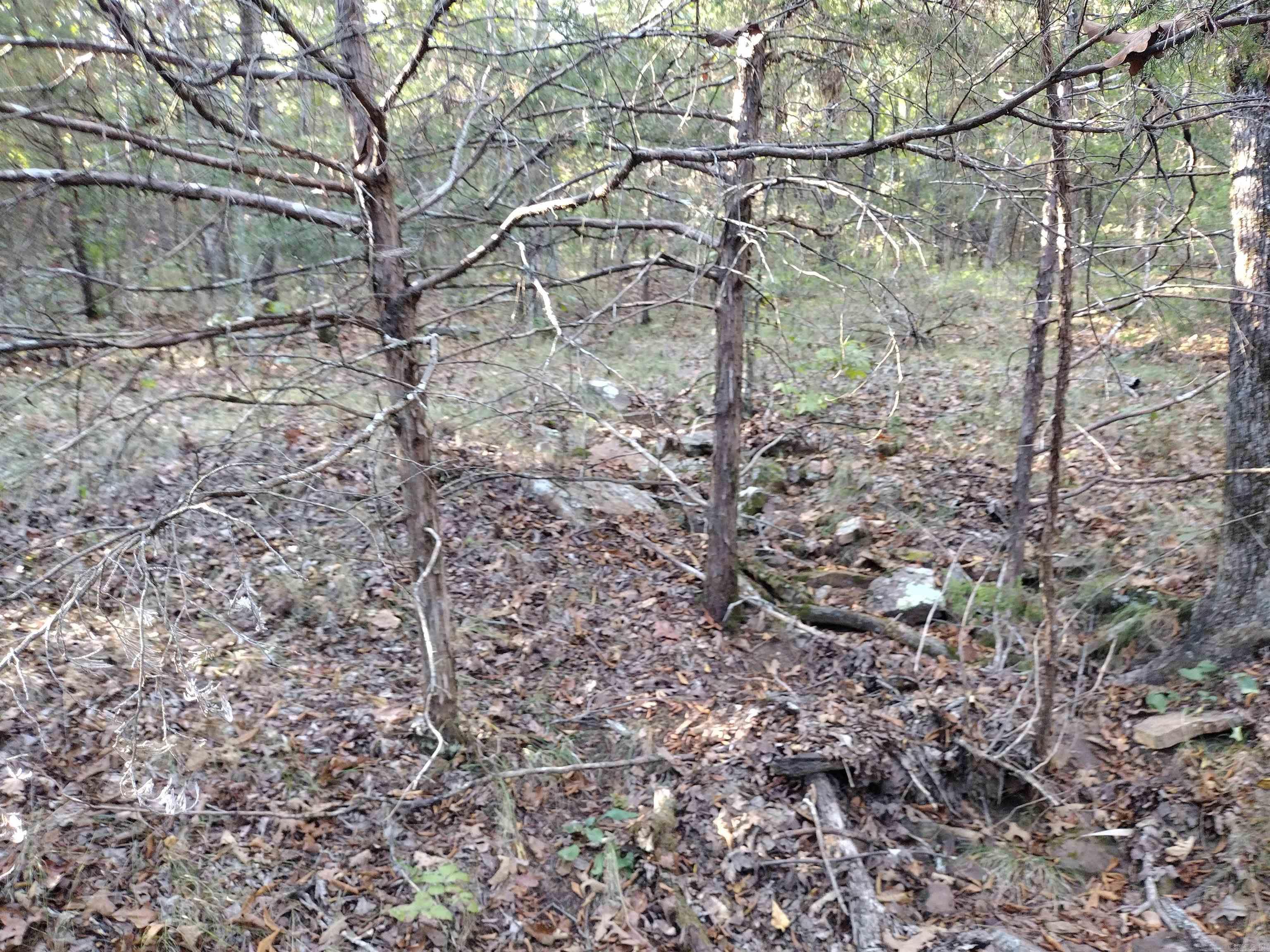 0 Arrowhead RD  Mountain View, AR