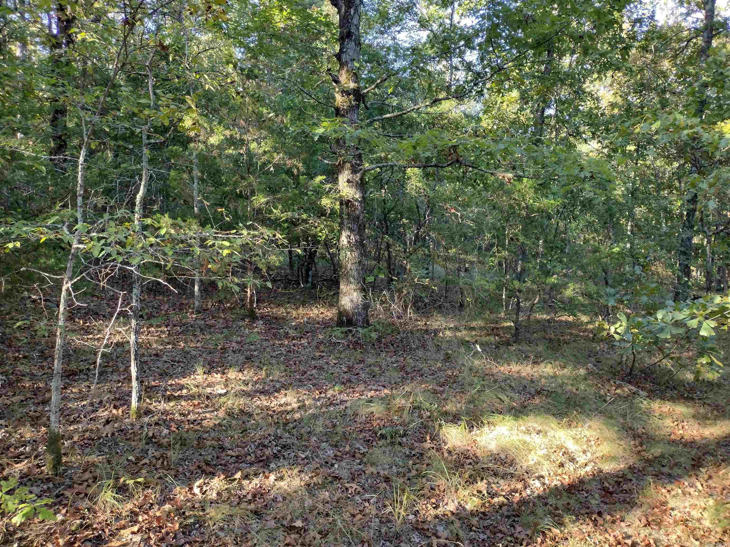 0 Arrowhead RD  Mountain View, AR