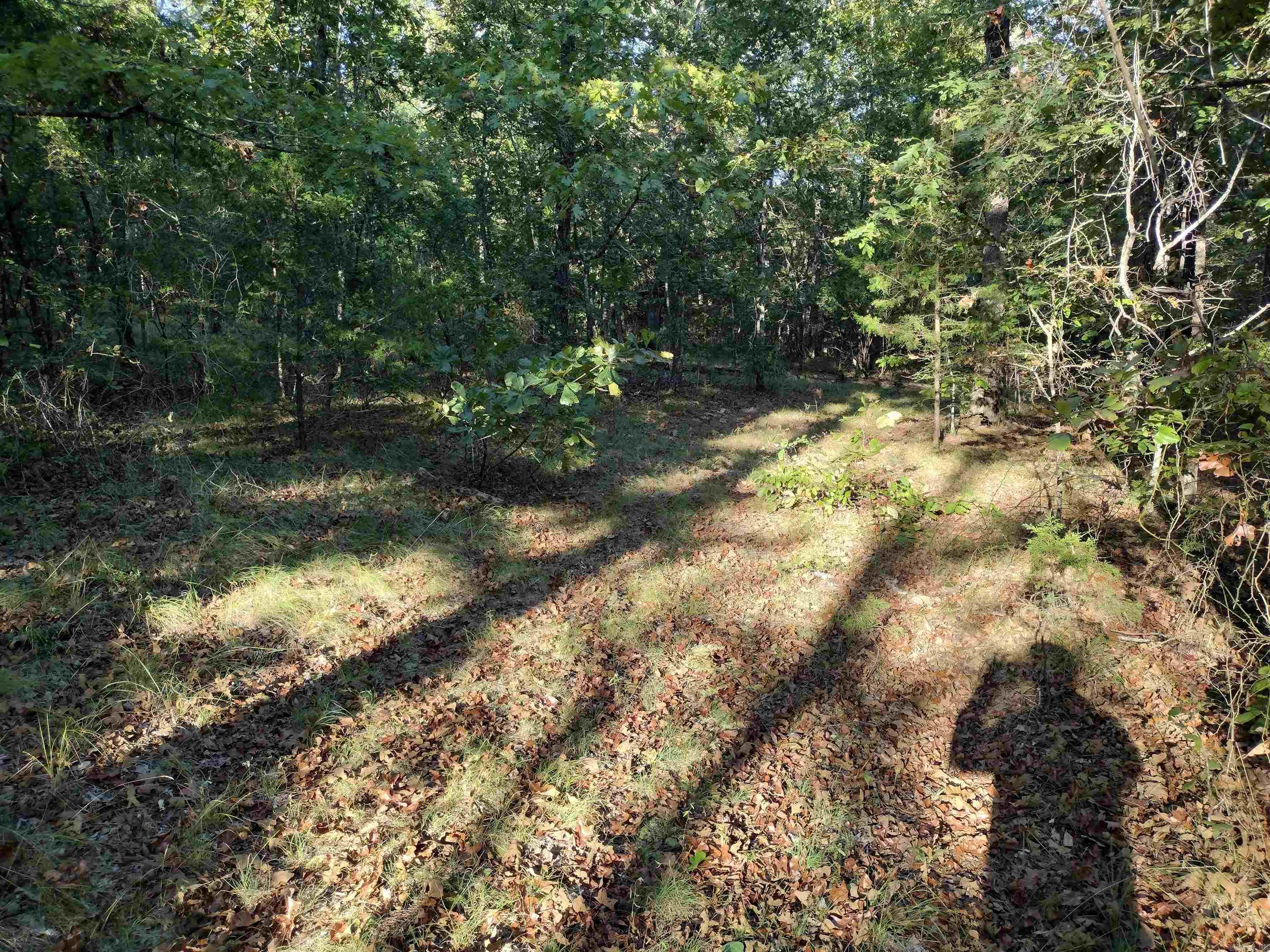 0 Arrowhead RD  Mountain View, AR