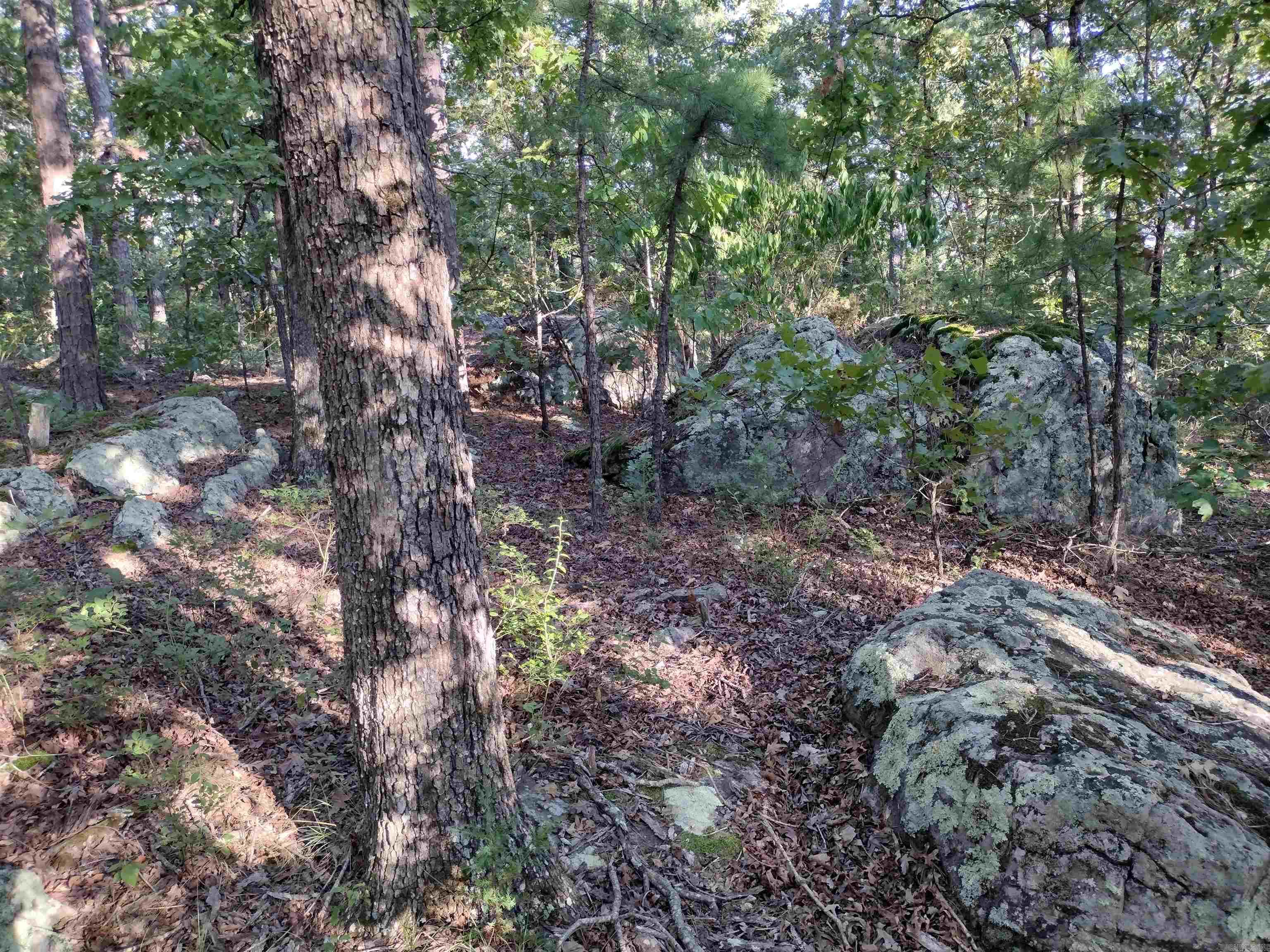 0 Arrowhead RD  Mountain View, AR