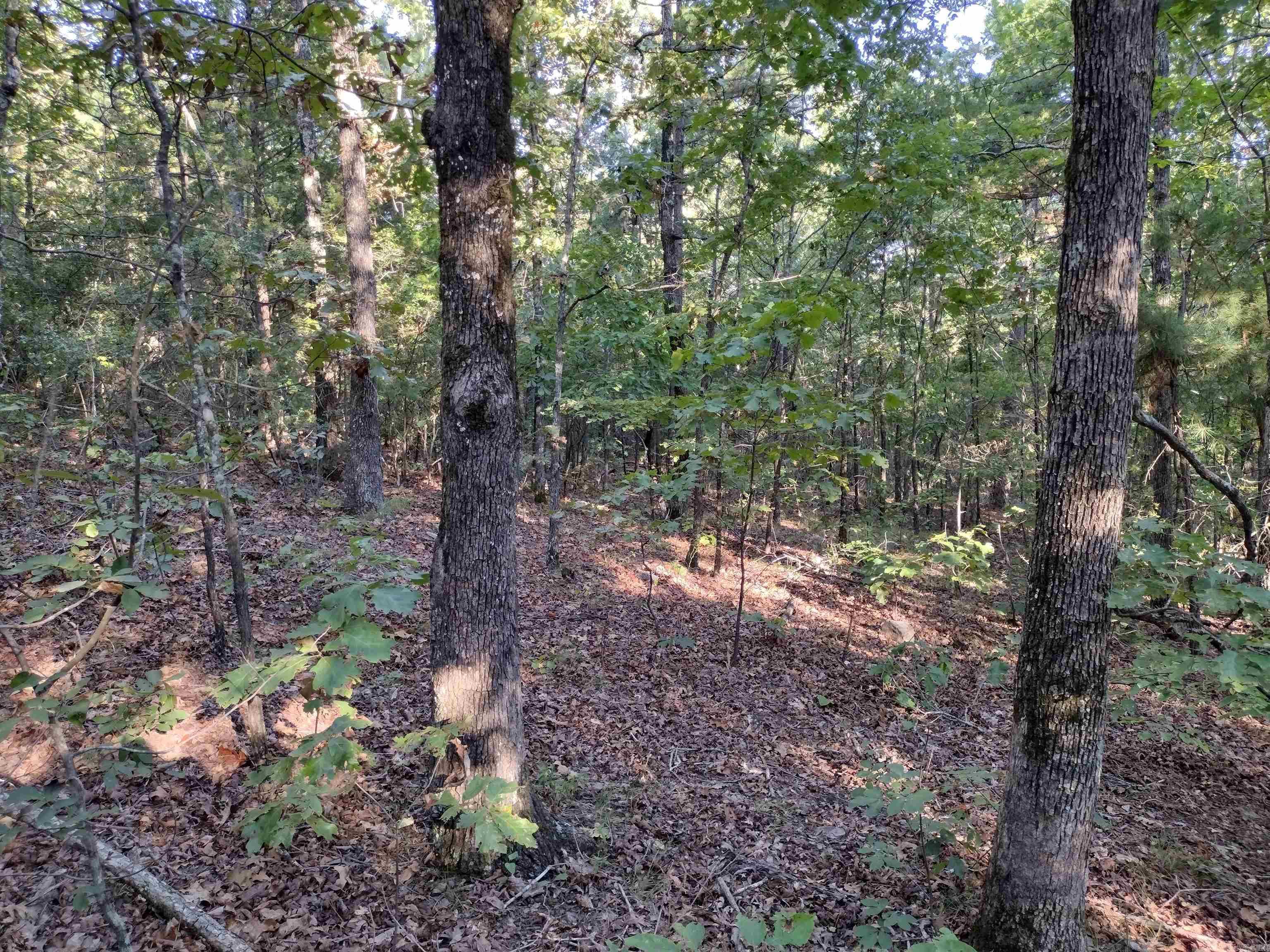 0 Arrowhead RD  Mountain View, AR