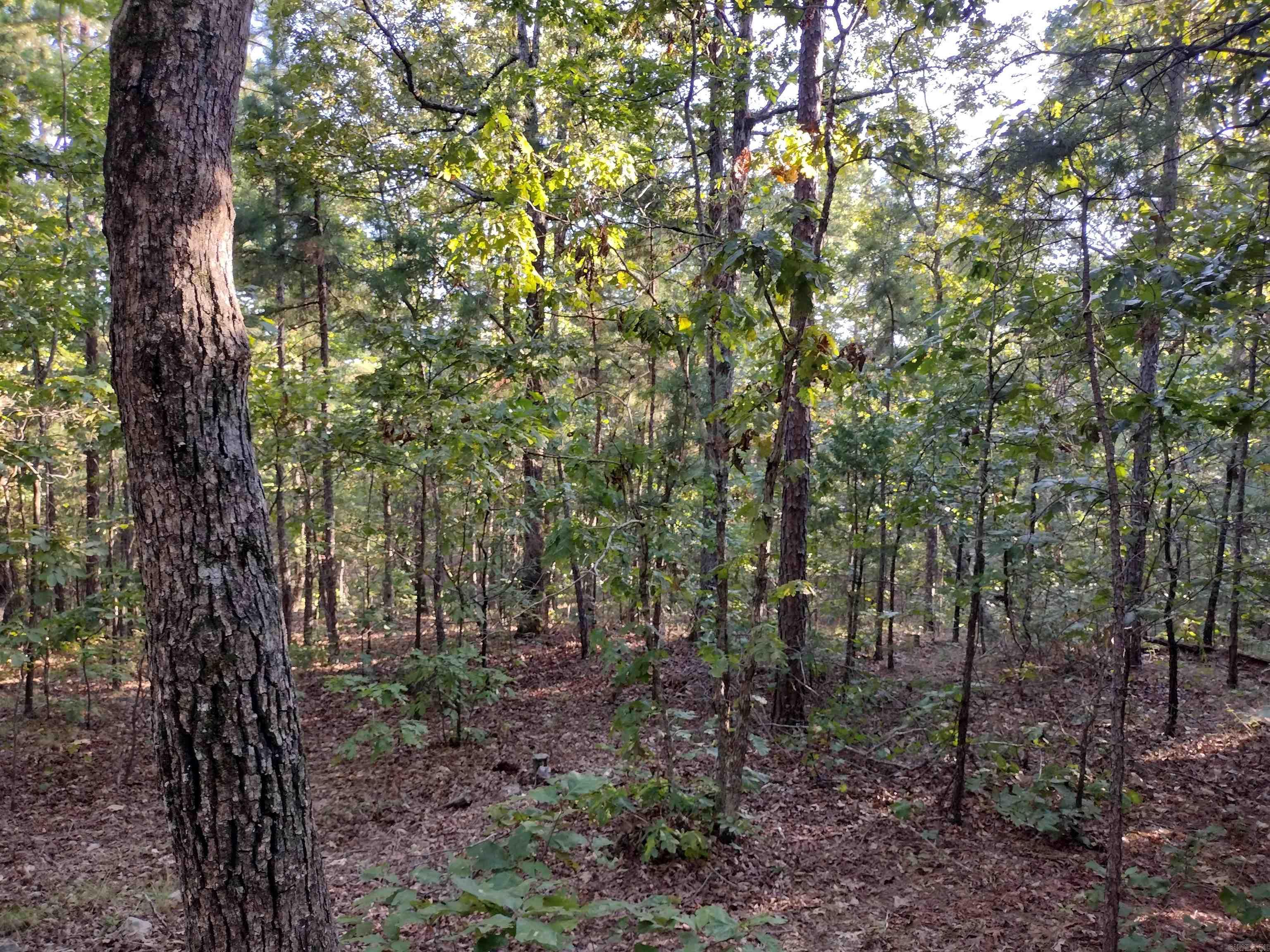0 Arrowhead RD  Mountain View, AR