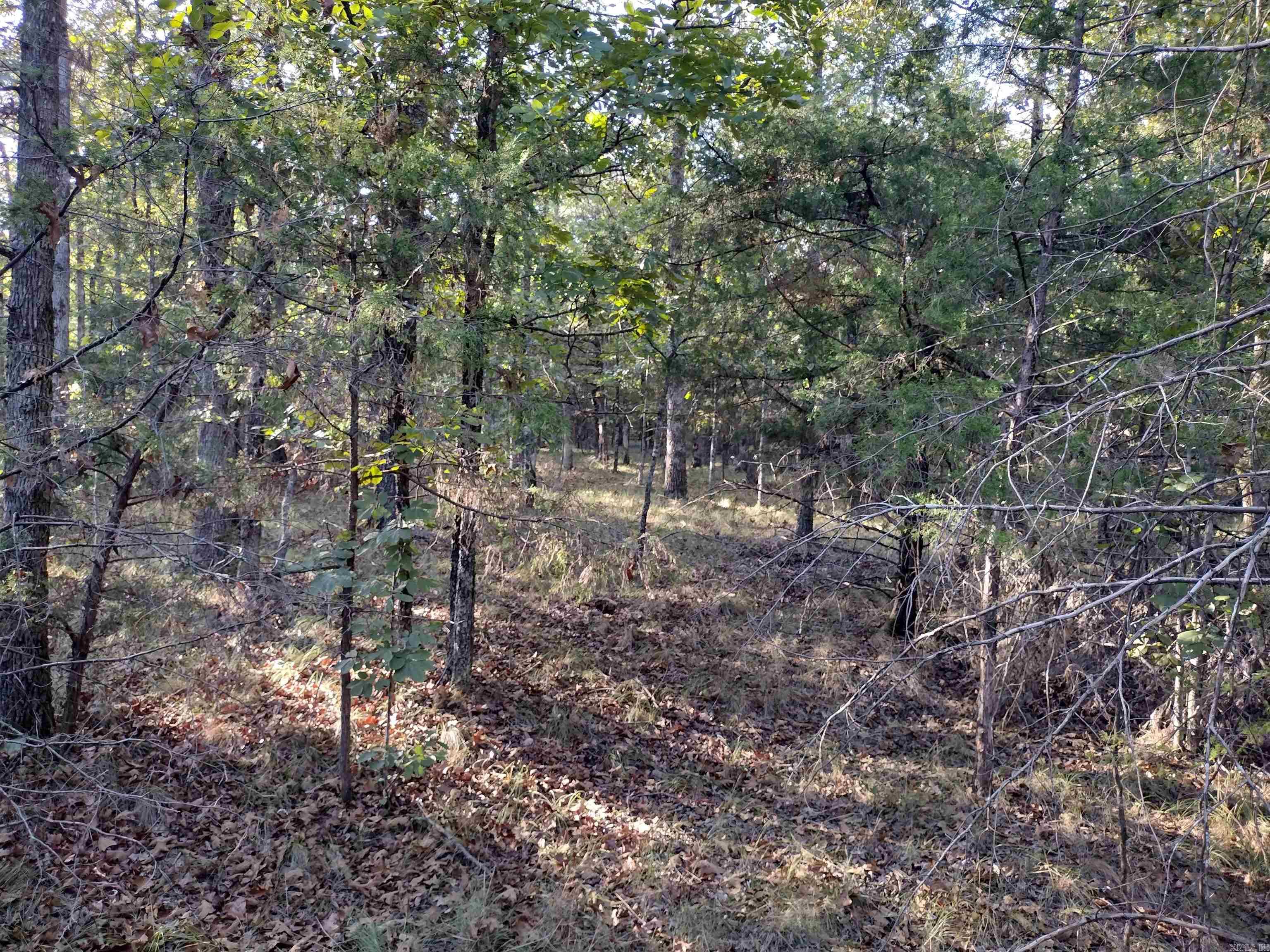 0 Arrowhead RD  Mountain View, AR