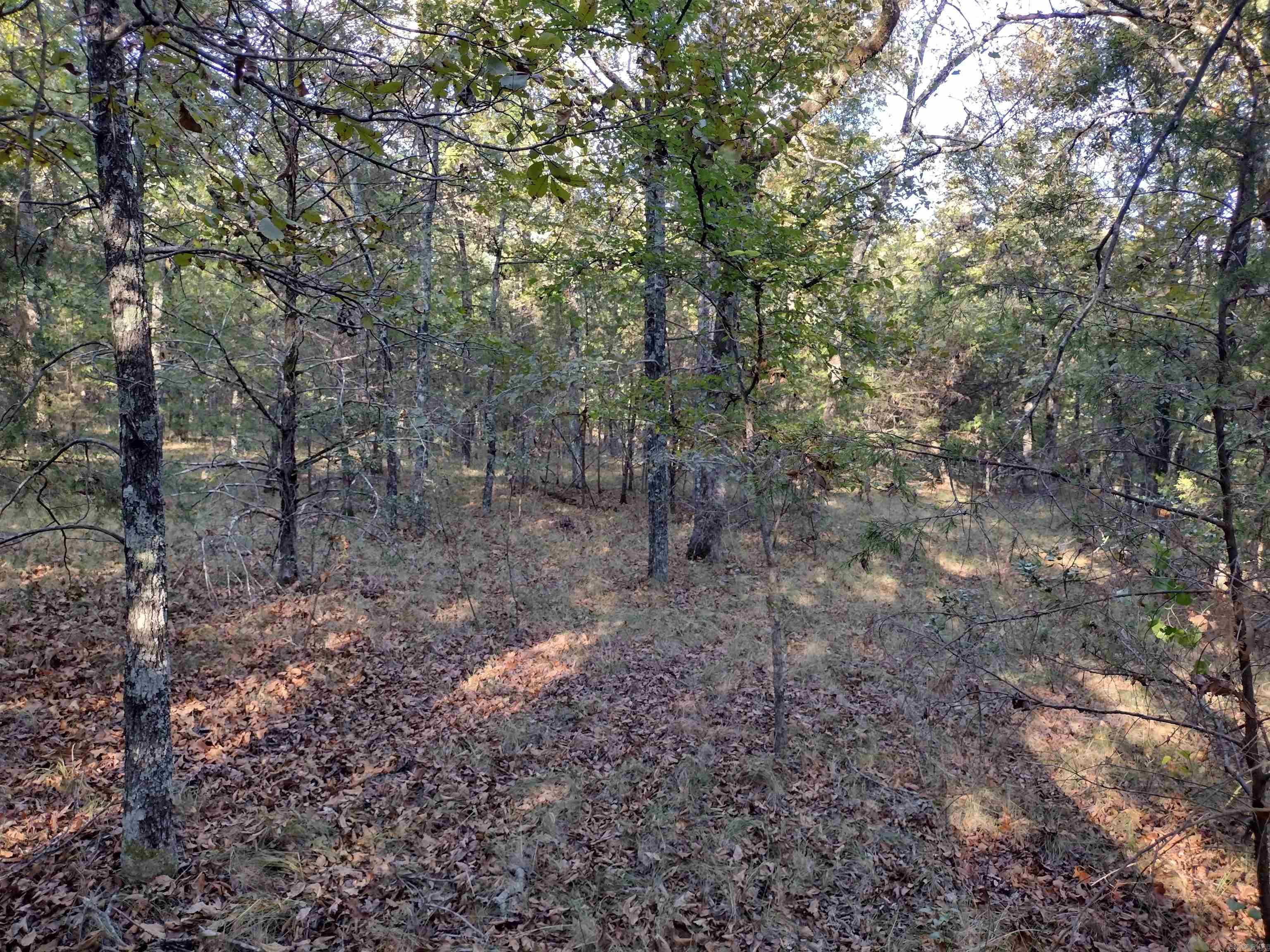 0 Arrowhead RD  Mountain View, AR