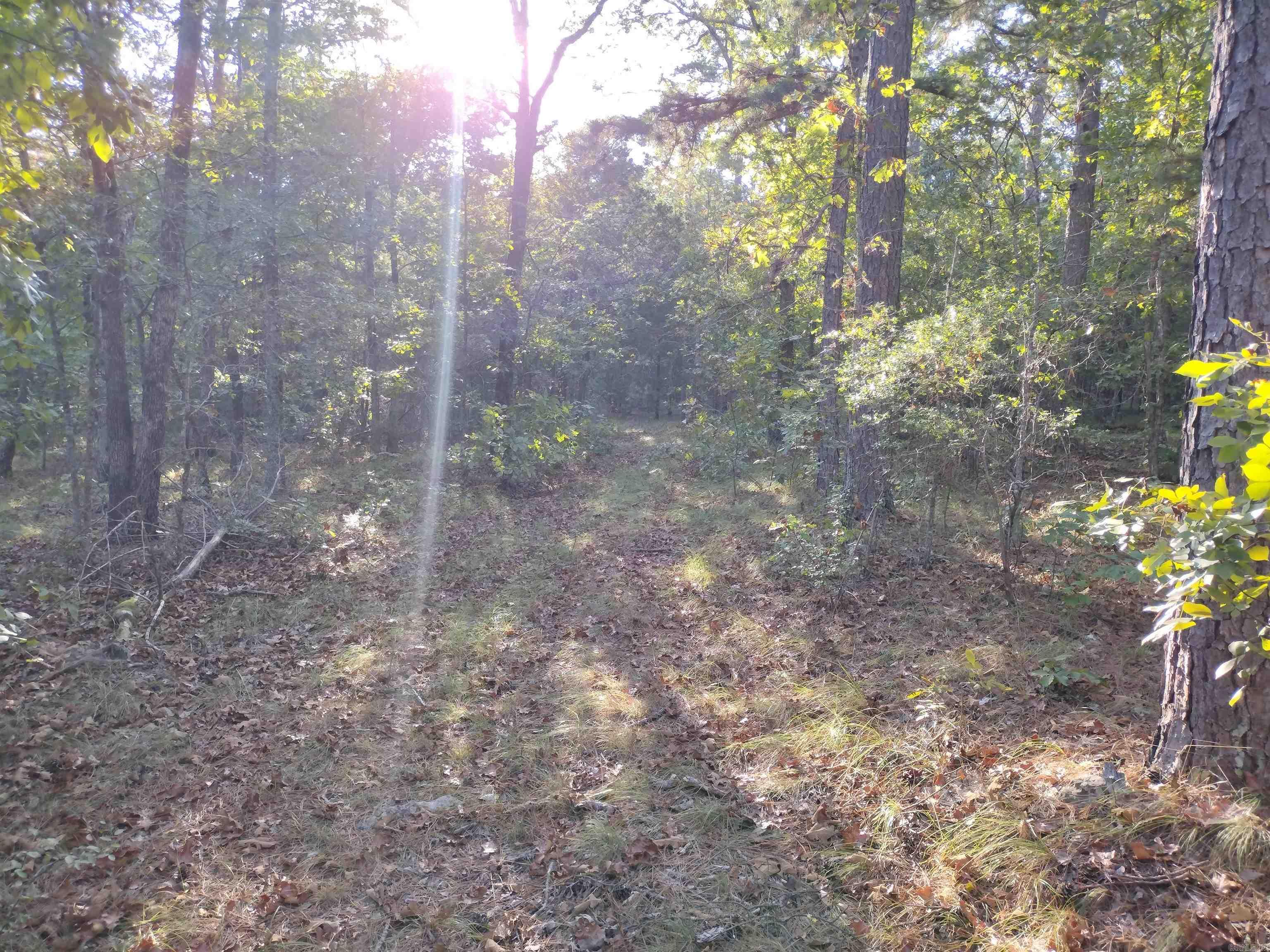 0 Arrowhead RD  Mountain View, AR