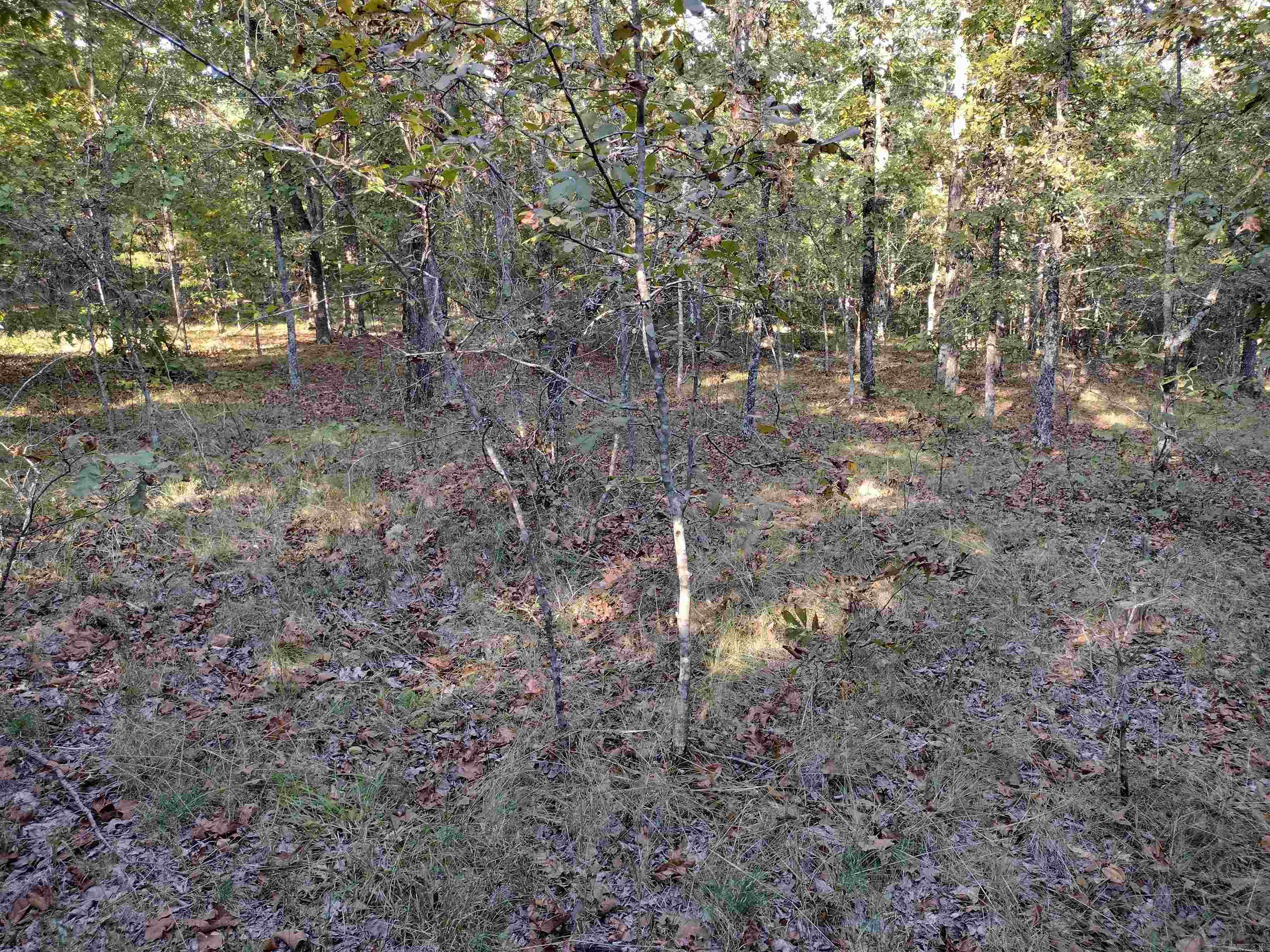 0 Arrowhead RD  Mountain View, AR