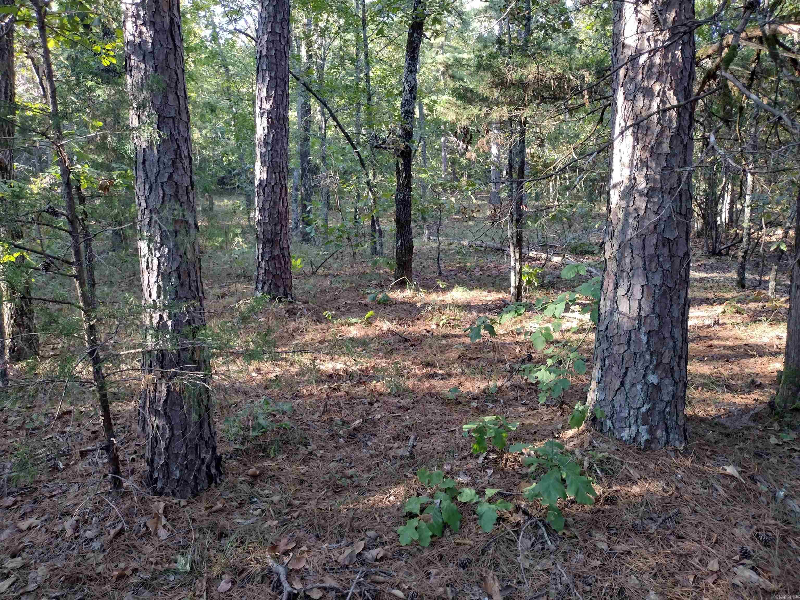 0 Arrowhead RD  Mountain View, AR
