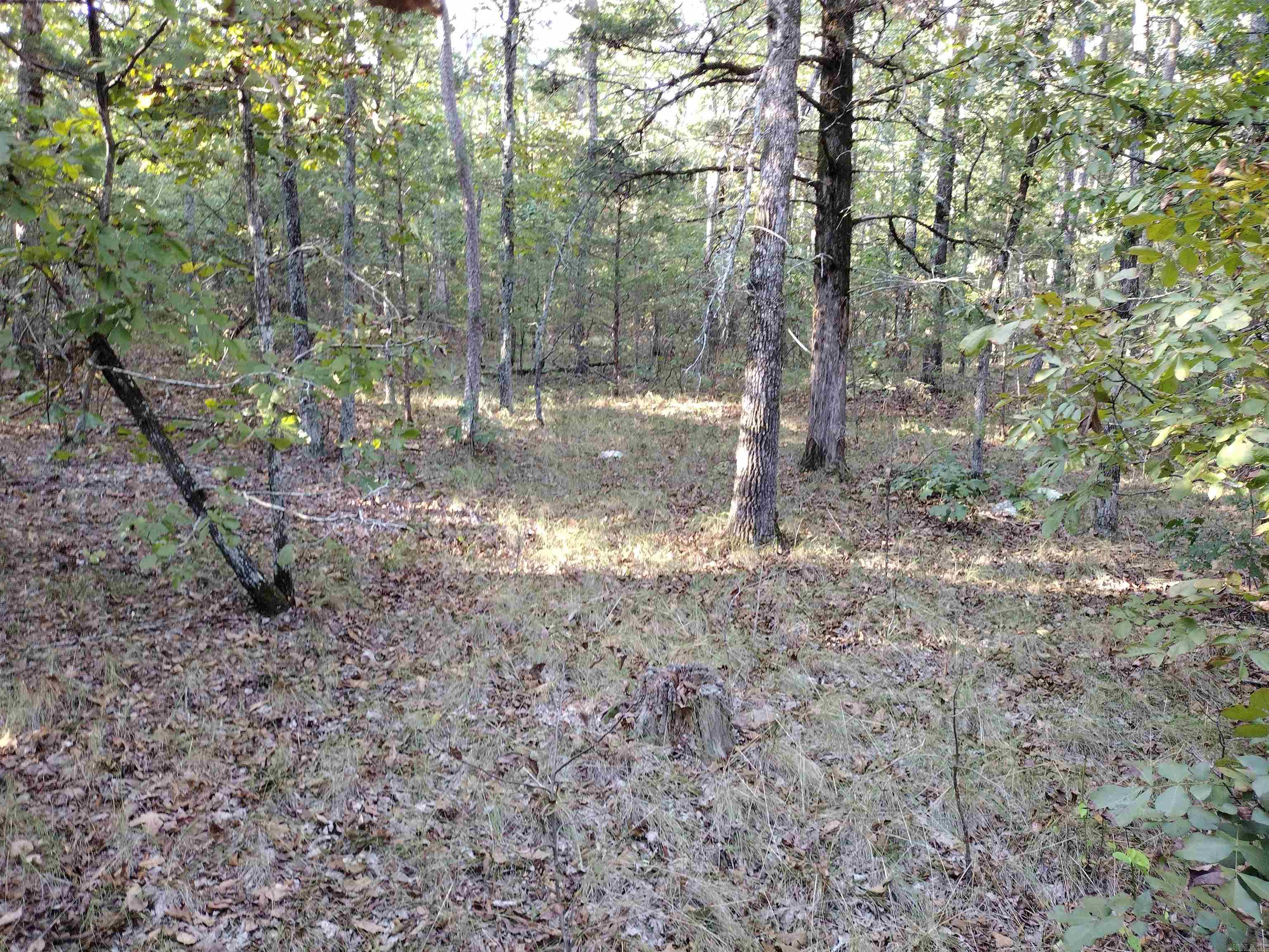 0 Arrowhead RD  Mountain View, AR