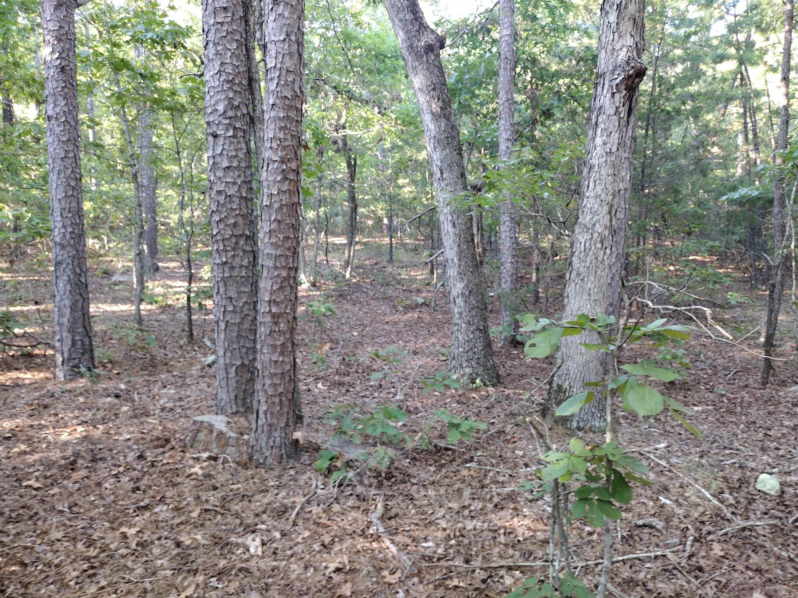 0 Arrowhead RD  Mountain View, AR