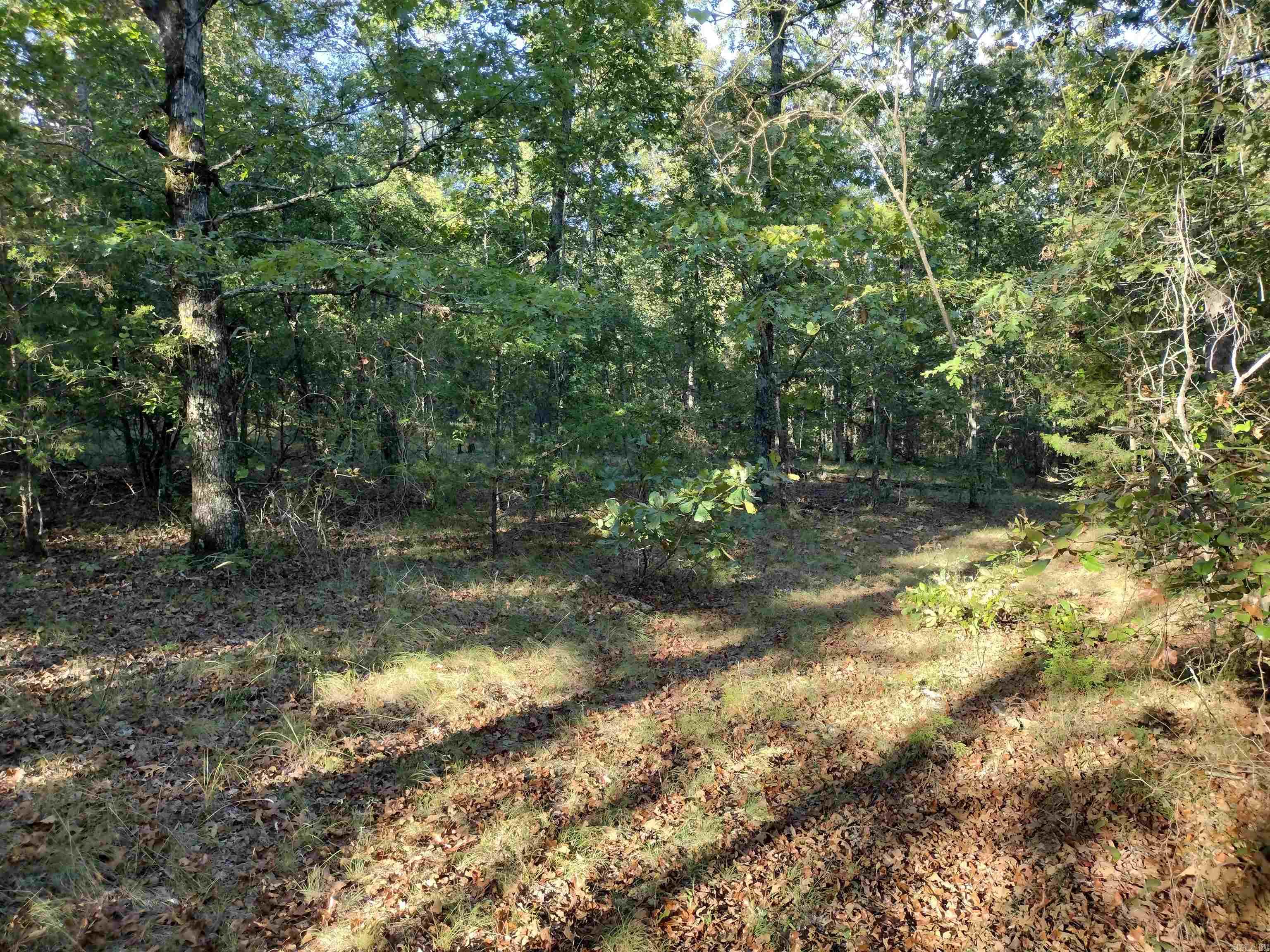 0 Arrowhead RD  Mountain View, AR
