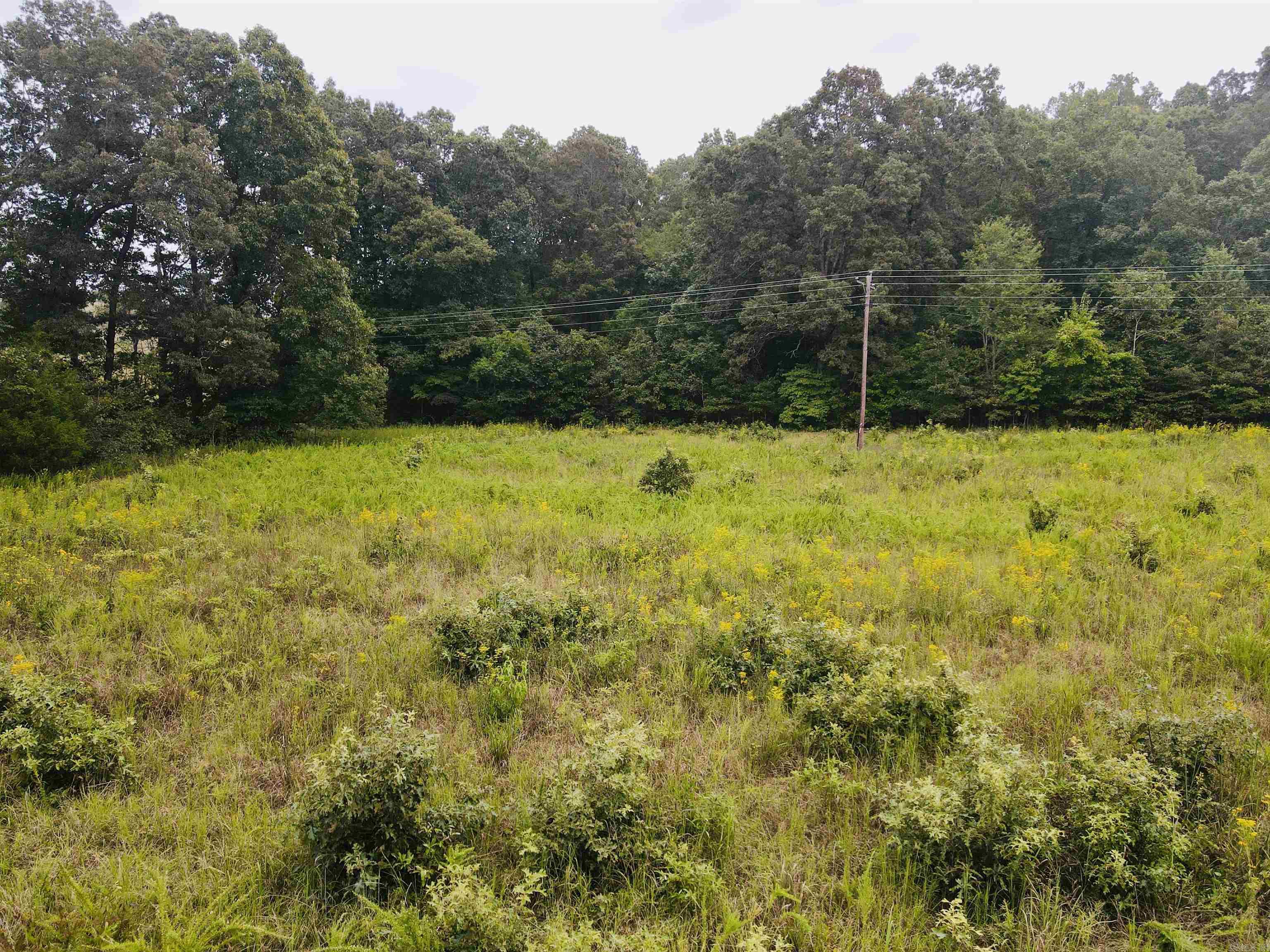 9505 N Highway 27  Marshall, AR