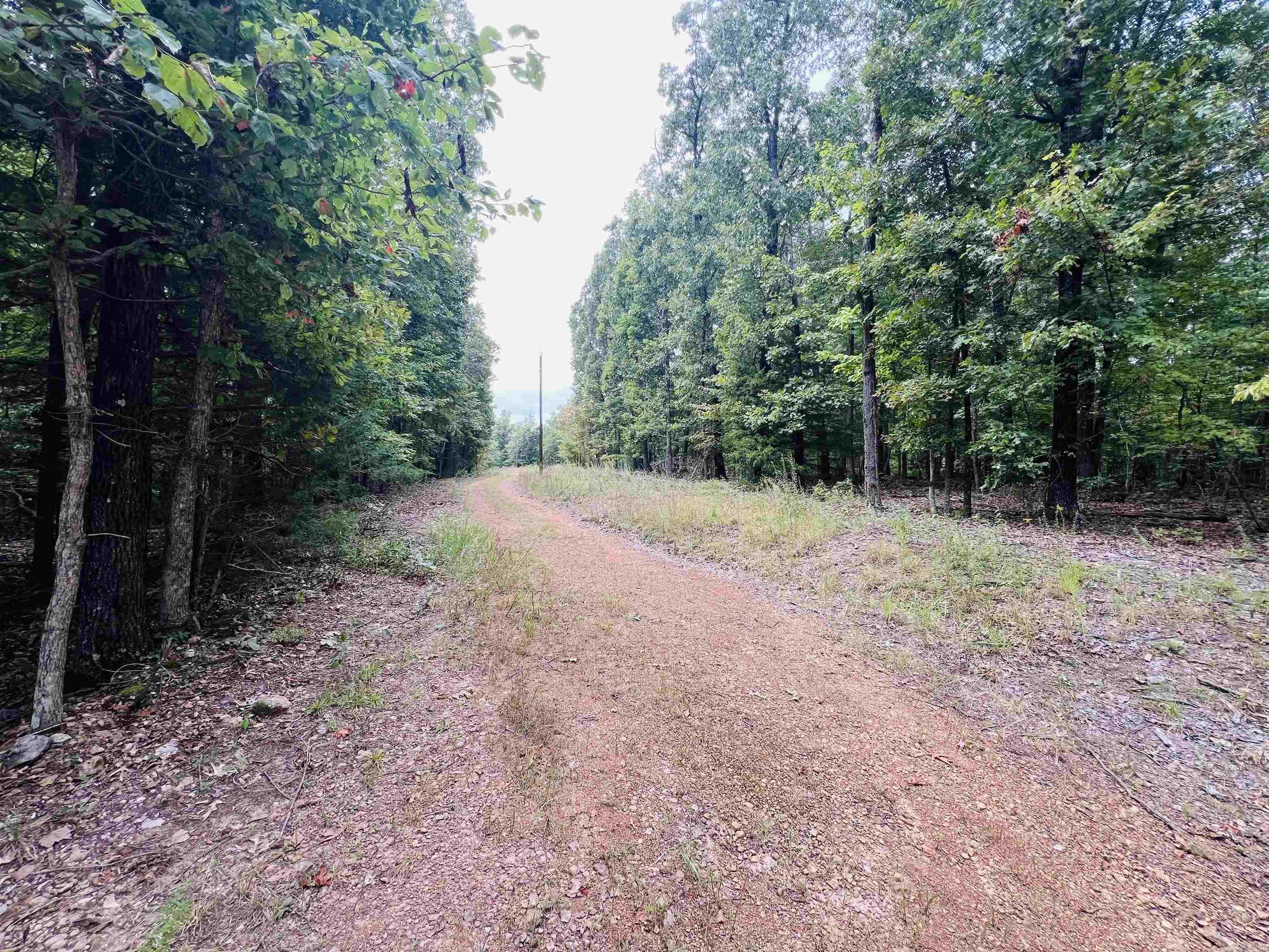 420 Persimmon Dr.  Marshall, AR