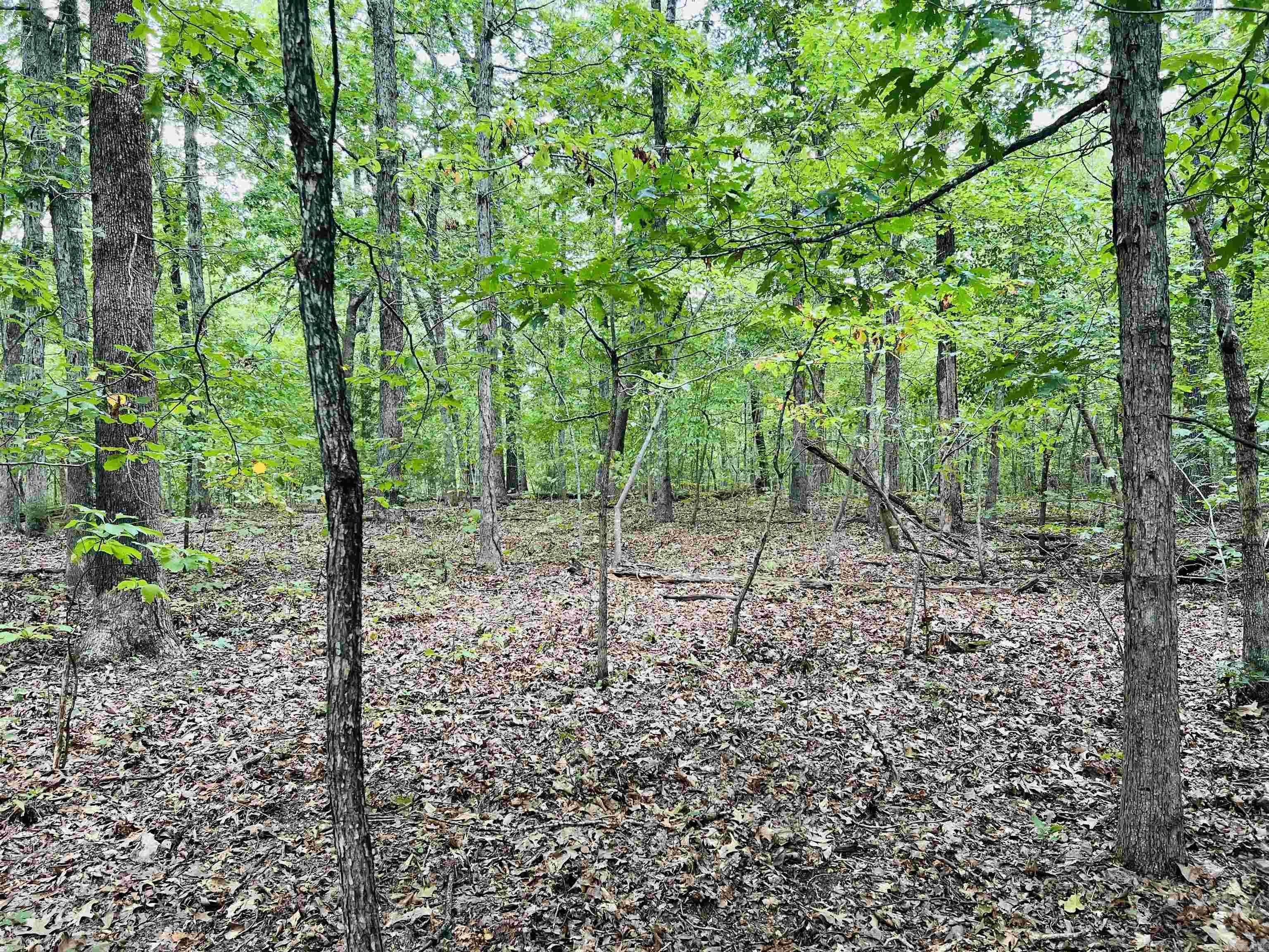 420 Persimmon Dr.  Marshall, AR
