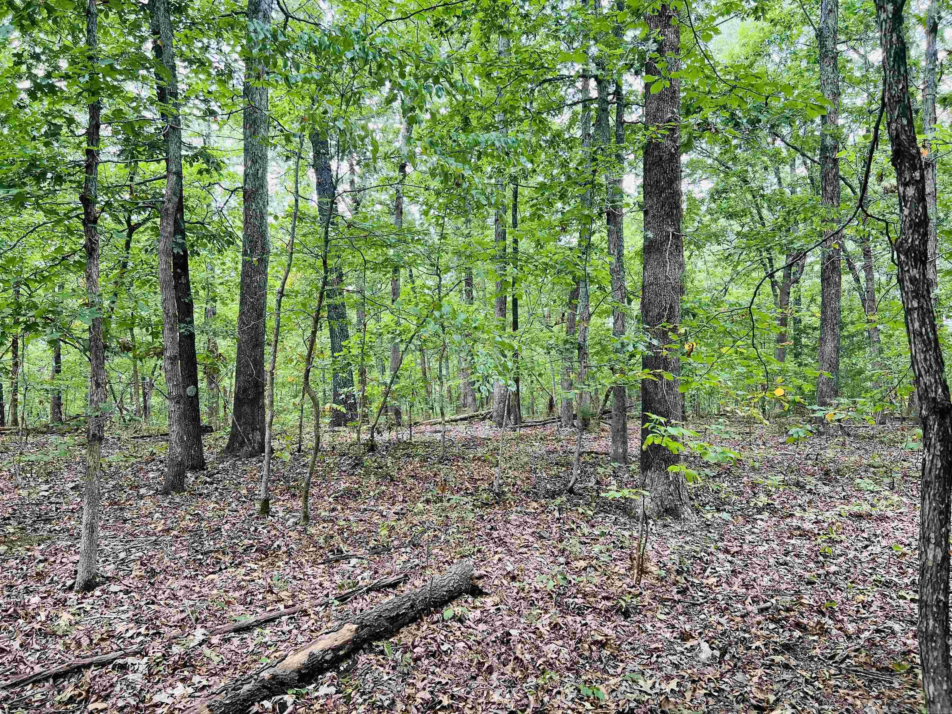 420 Persimmon Dr.  Marshall, AR