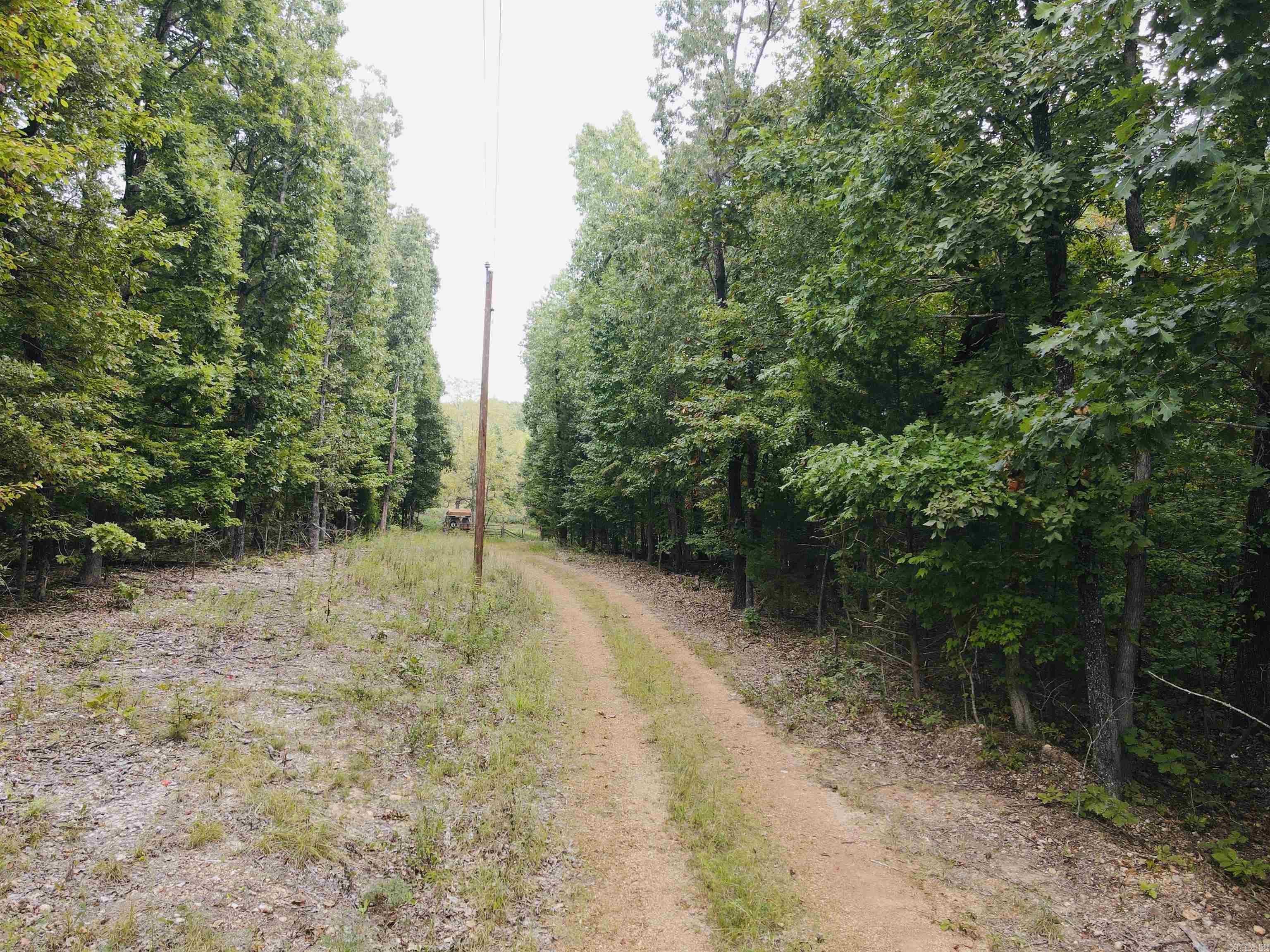 420 Persimmon Dr.  Marshall, AR