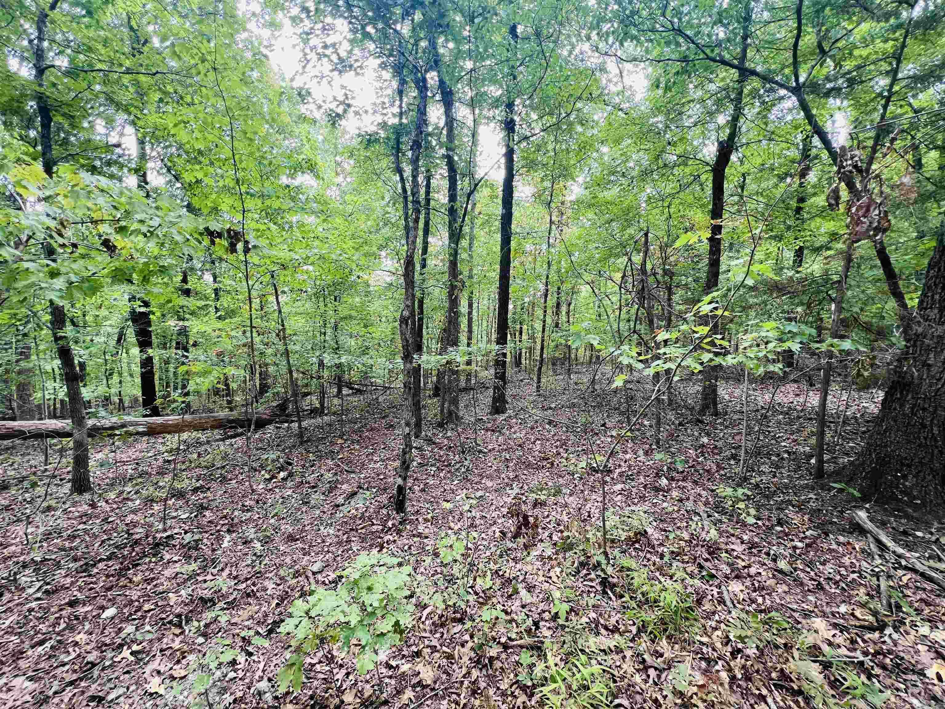 420 Persimmon Dr.  Marshall, AR