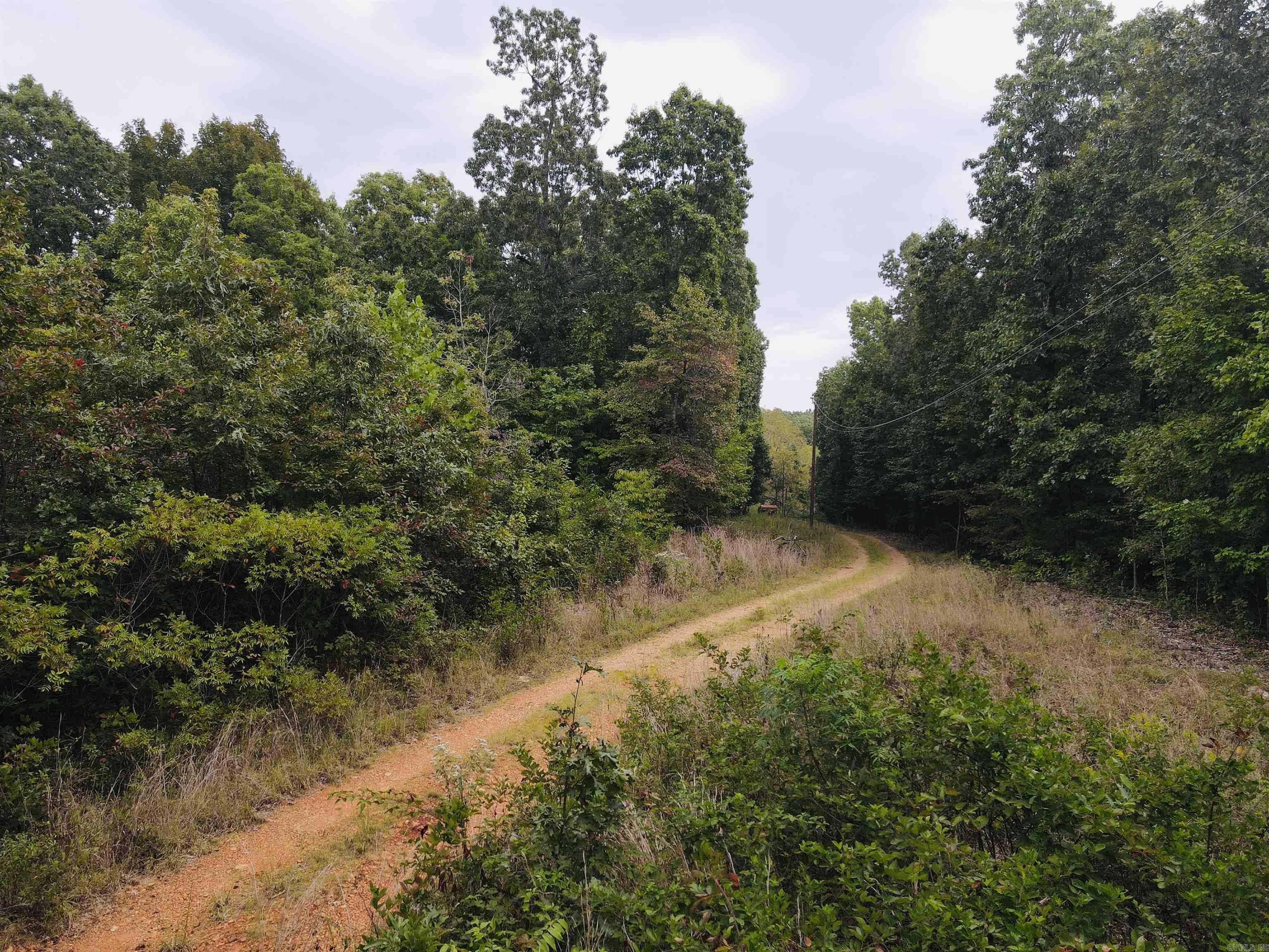 420 Persimmon Dr.  Marshall, AR