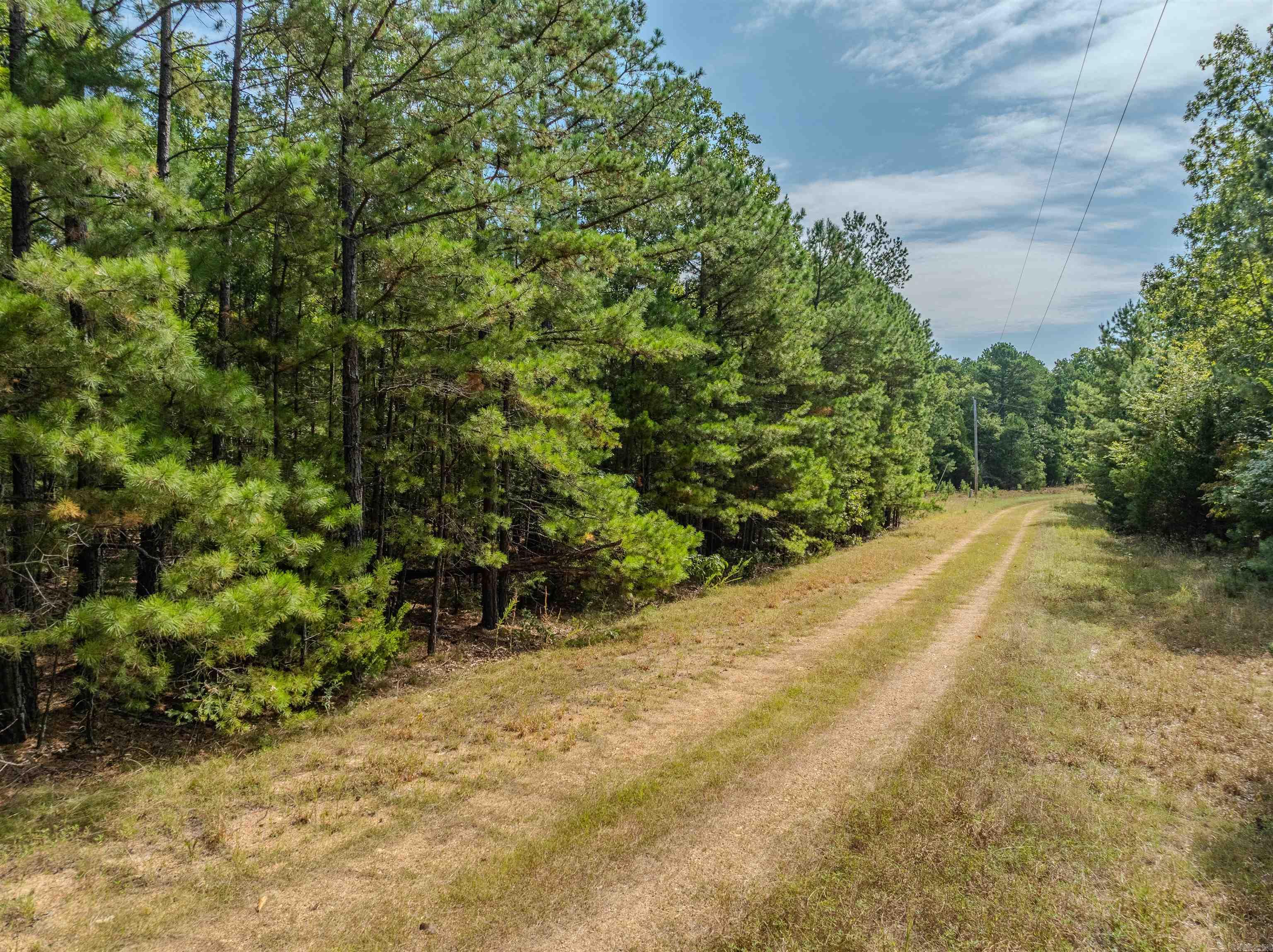 * Ravenwood  Yellville, AR