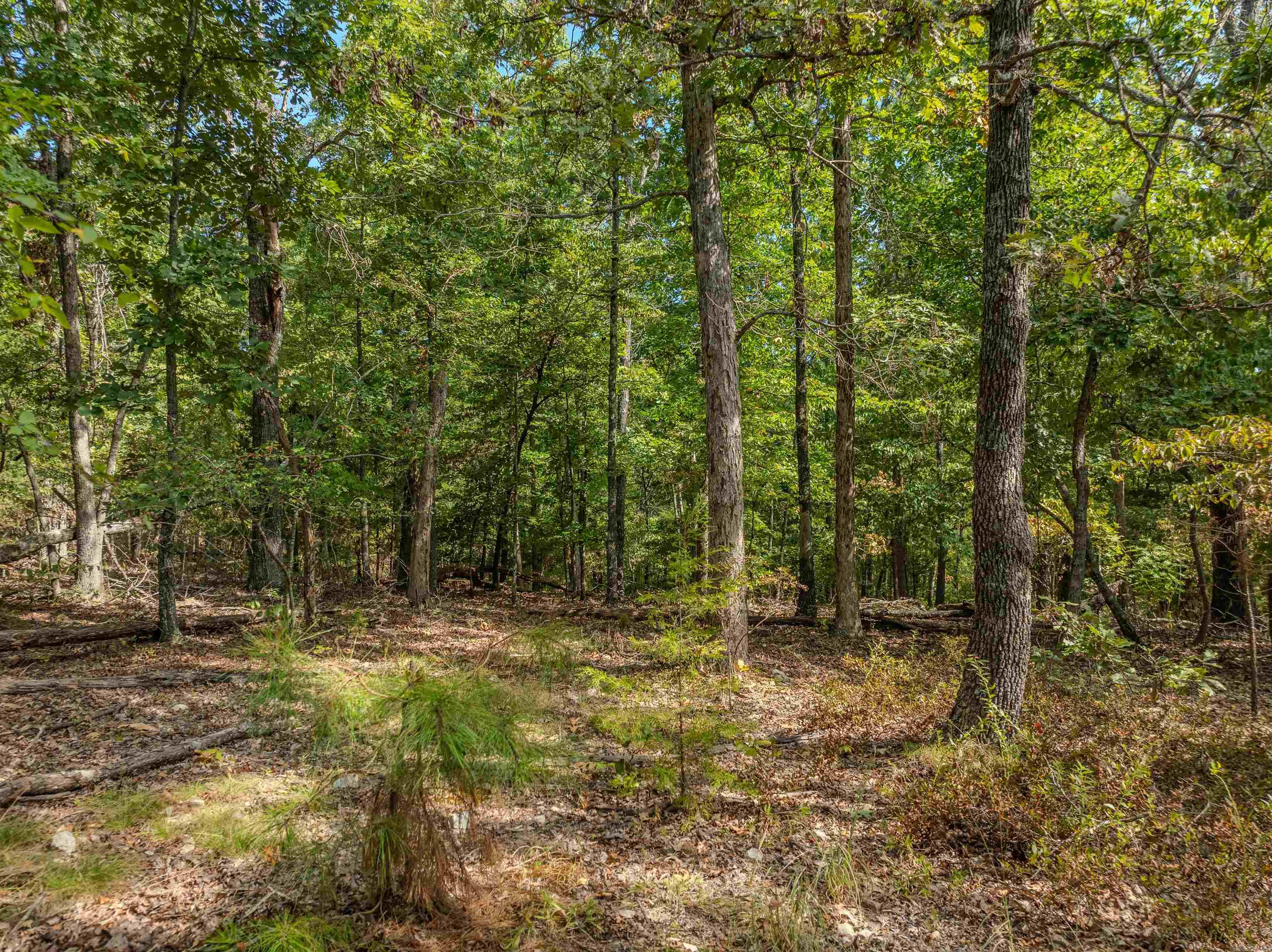 * Ravenwood  Yellville, AR