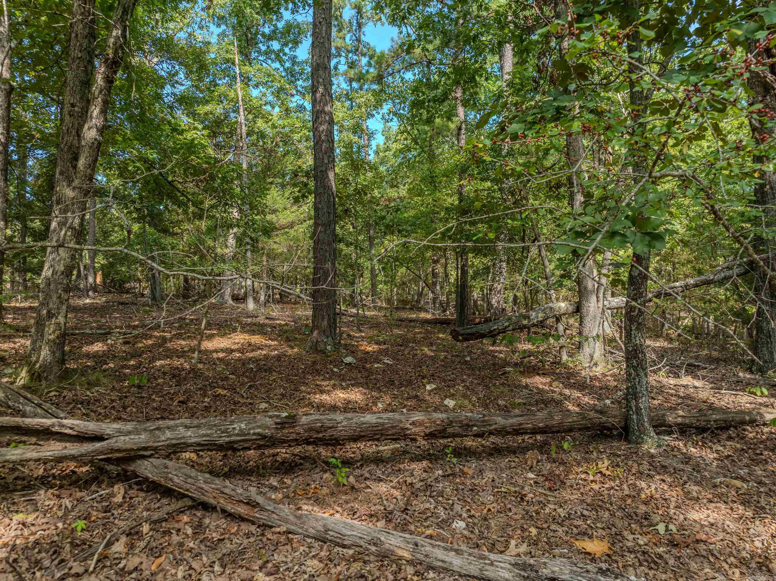 * Ravenwood  Yellville, AR