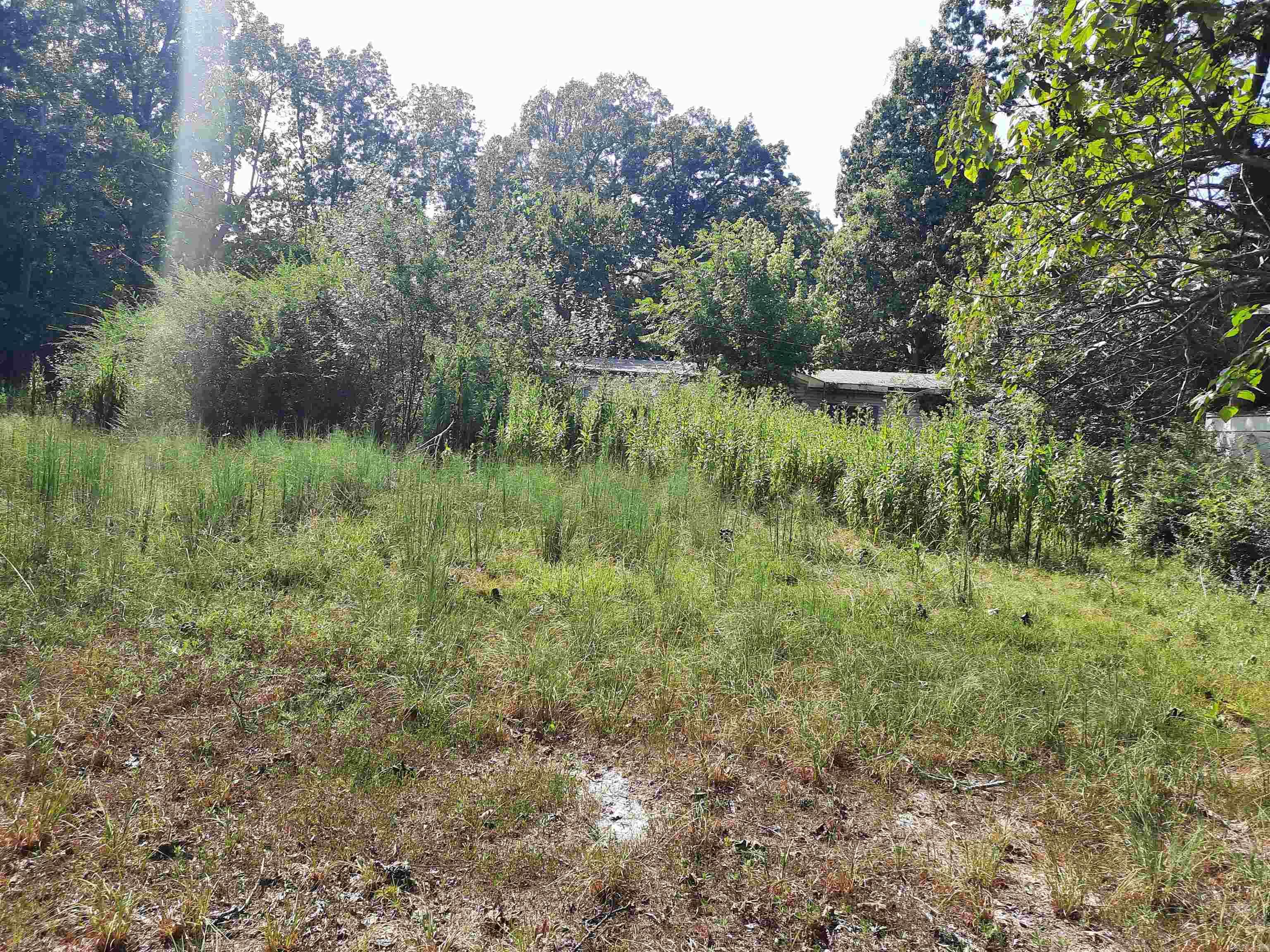 512 Herple  Mountain View, AR