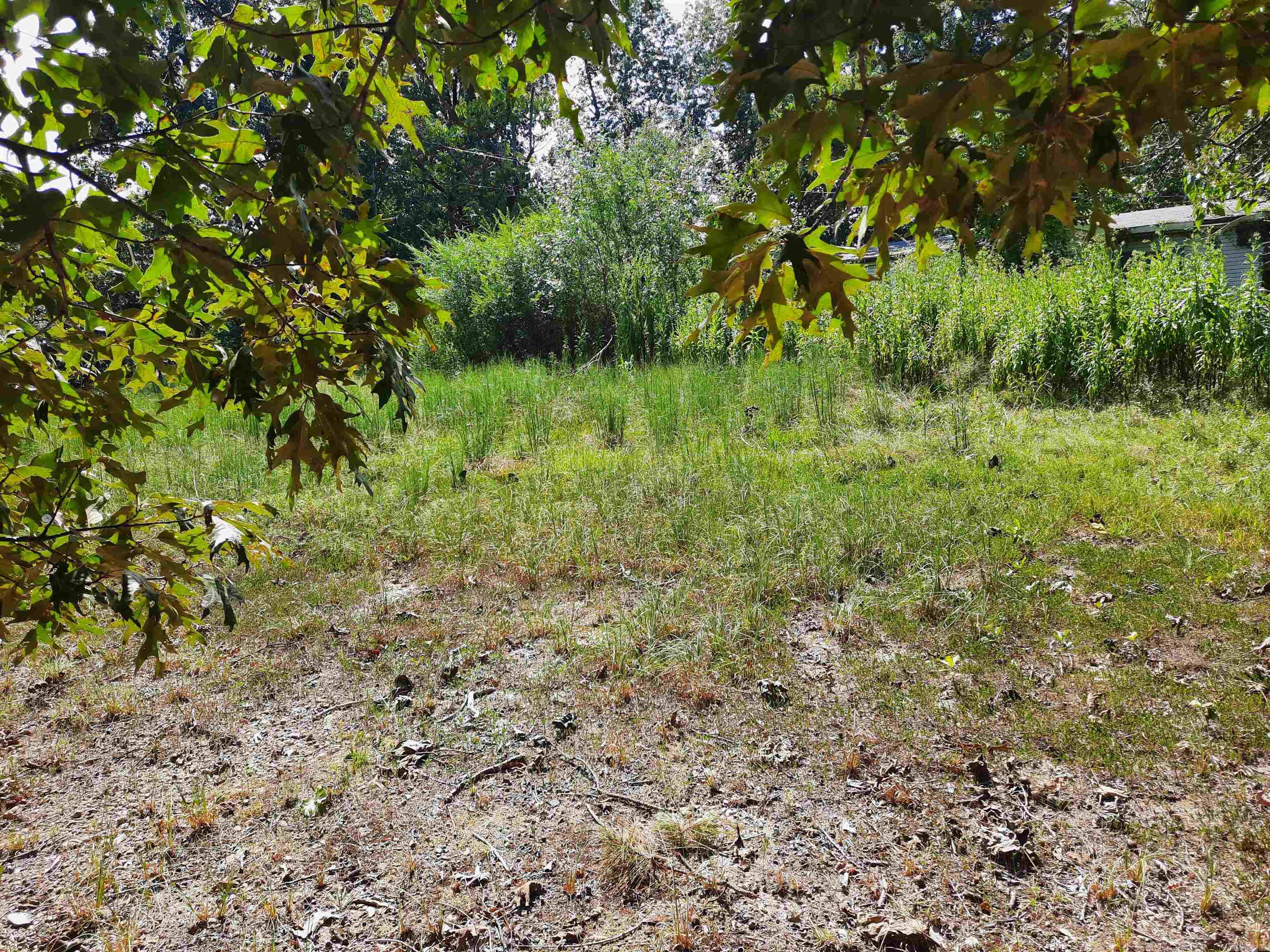 512 Herple  Mountain View, AR