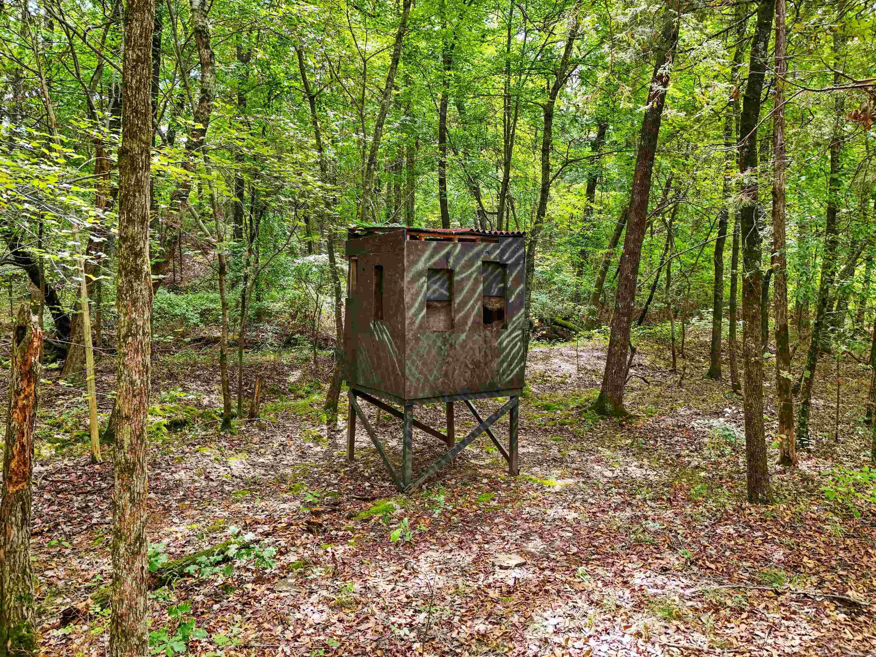 74 Moonlight  Quitman, AR